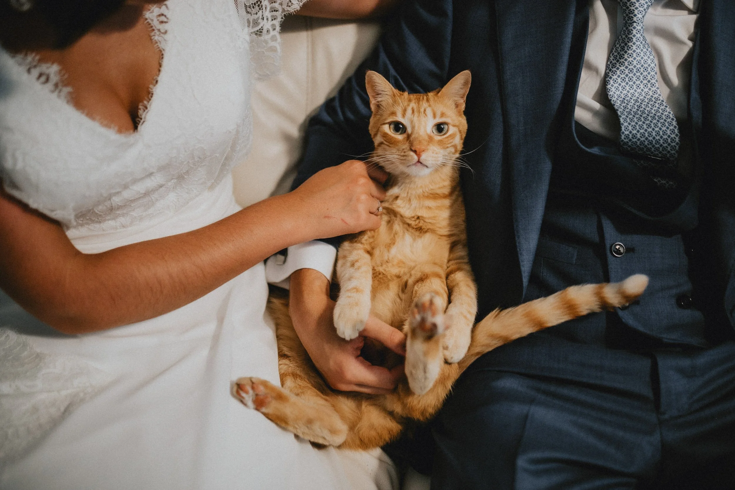 Bride holding her ginger cat during wedding day – intimate Portugal elopement photography capturing pets as family.