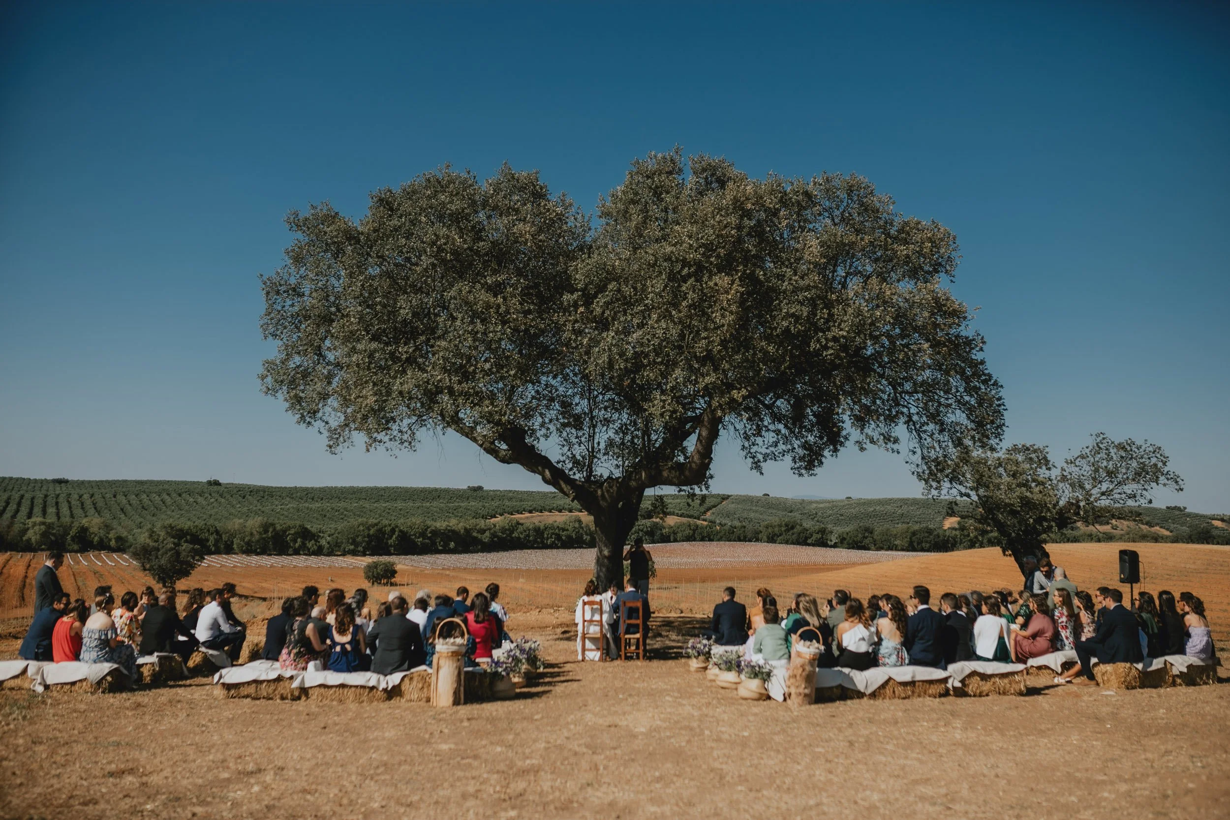 Outdoor wedding reception in Portugal under large tree with guests seated in natural setting