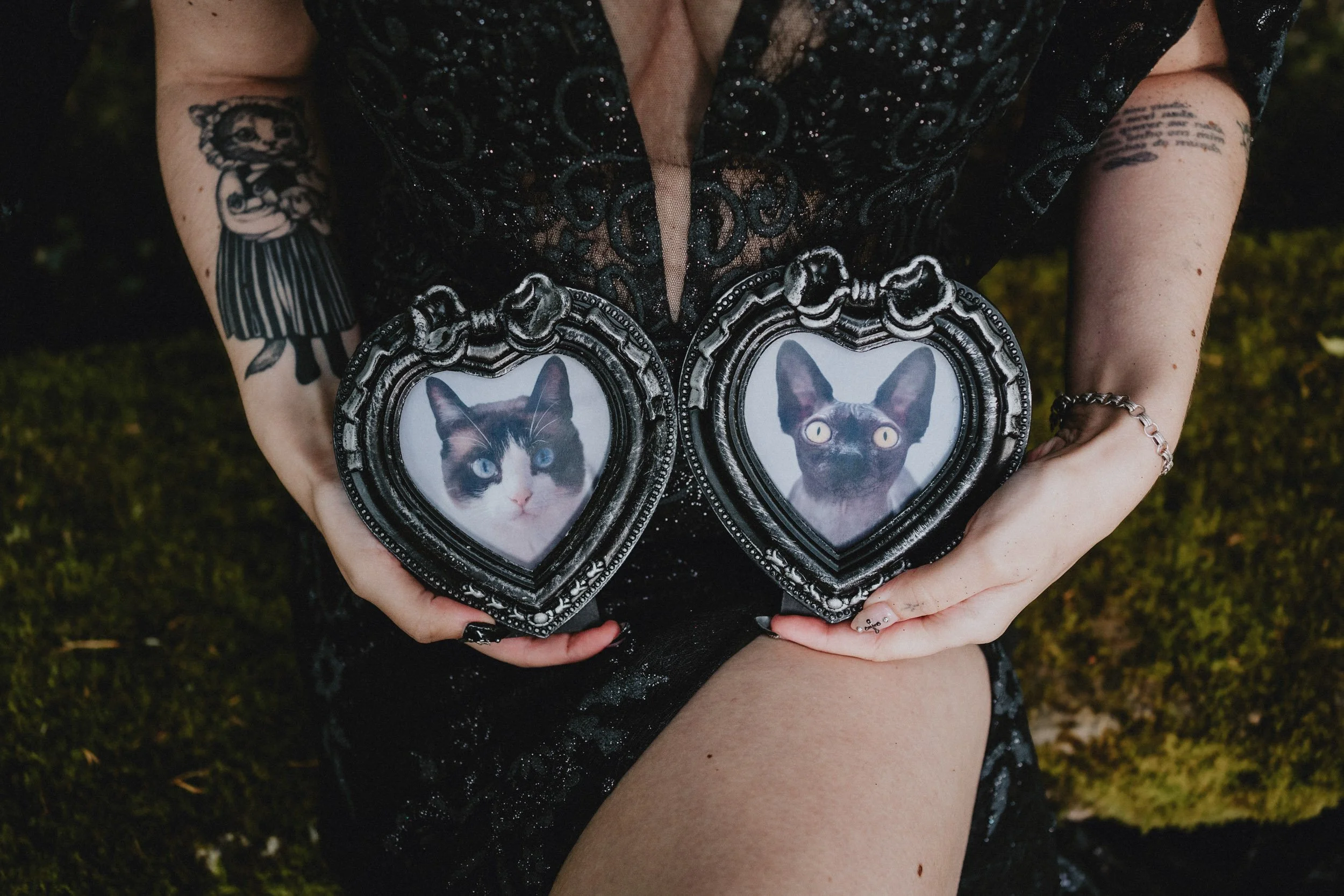 Portrait of the cats in Portuguese Elopement