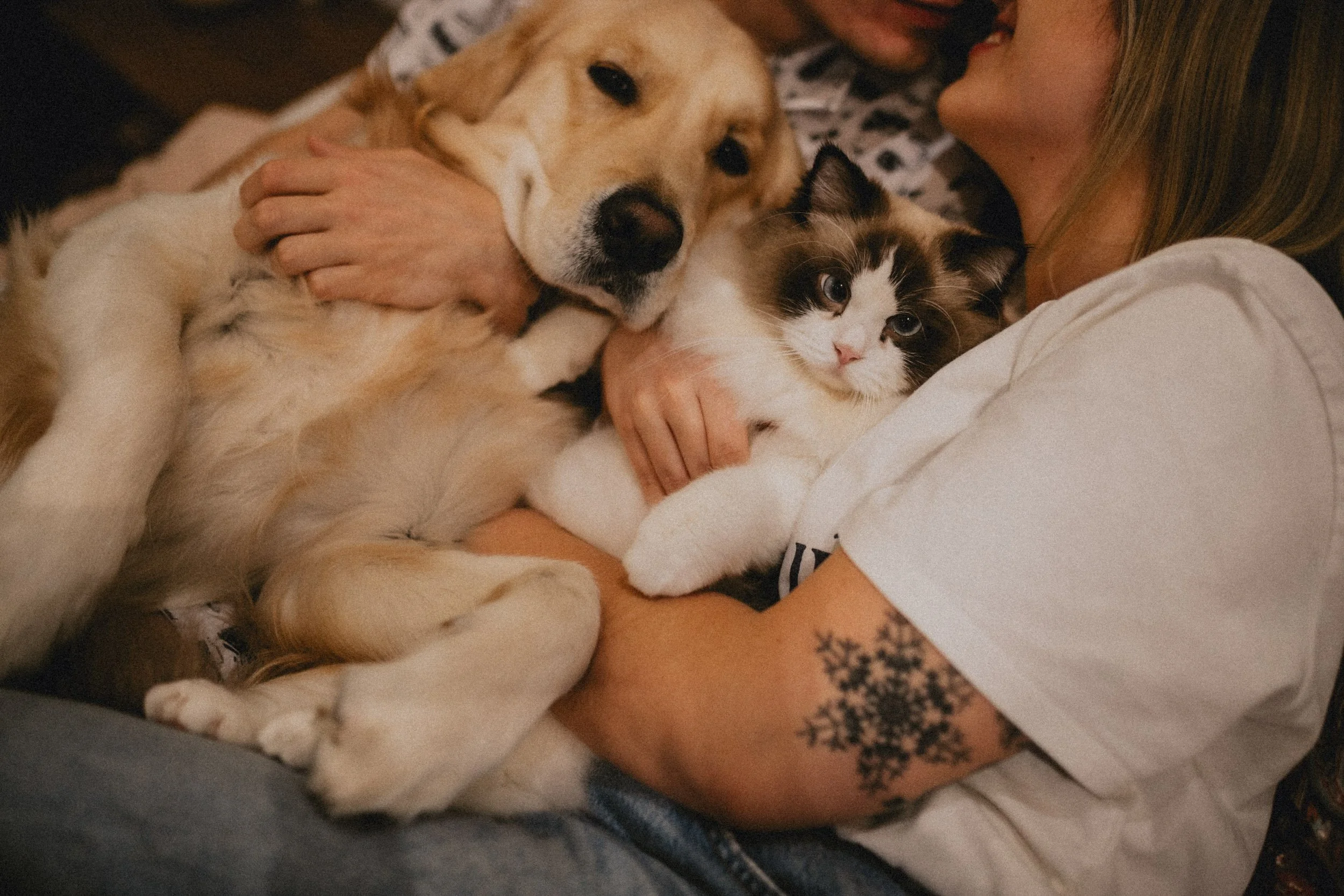 Engagement photography in Portugal, couple relaxing at home with their dogs during intimate lifestyle session.