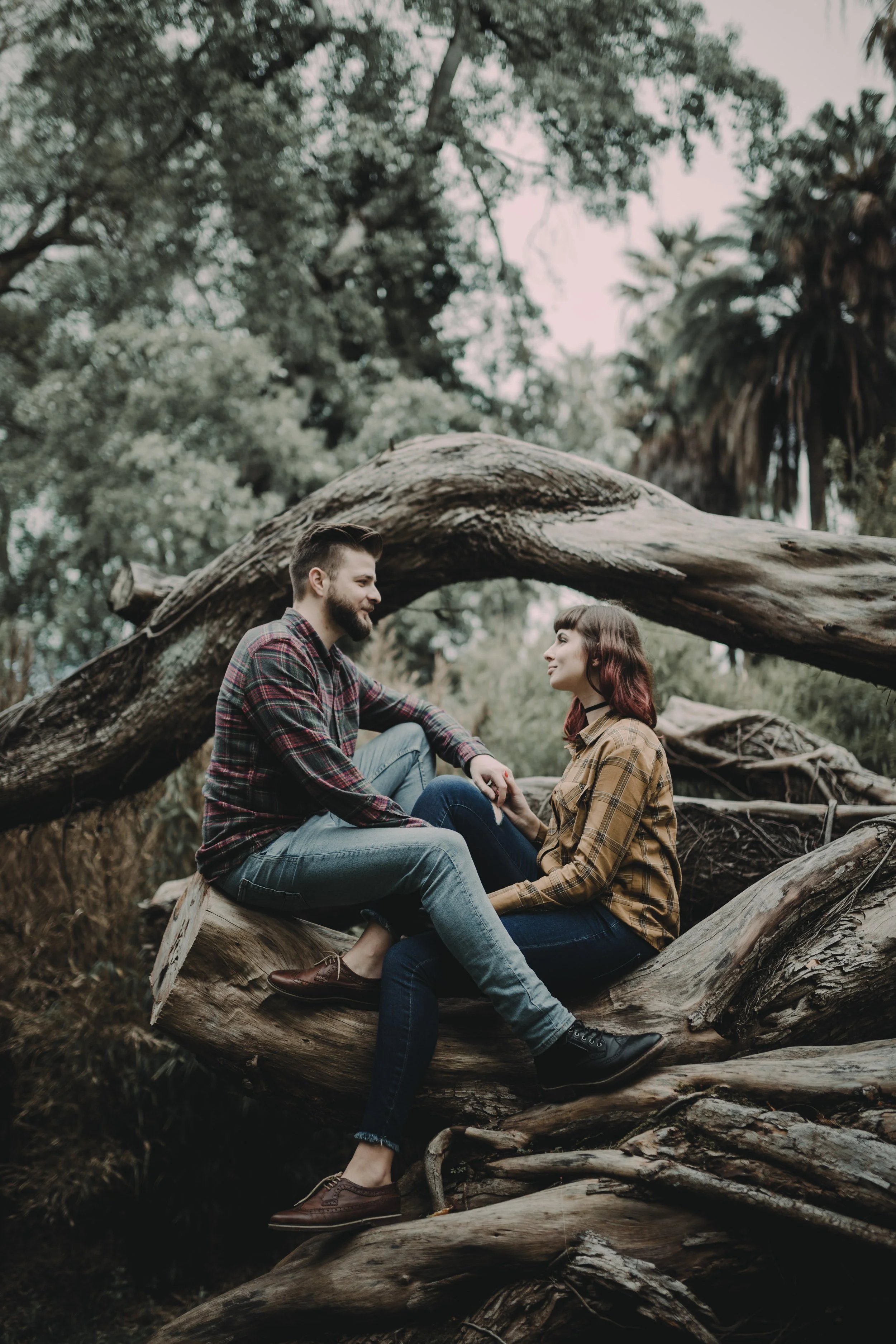 Engagement photography in Sintra forest, couple sitting together on fallen tree during relaxed woodland session.
