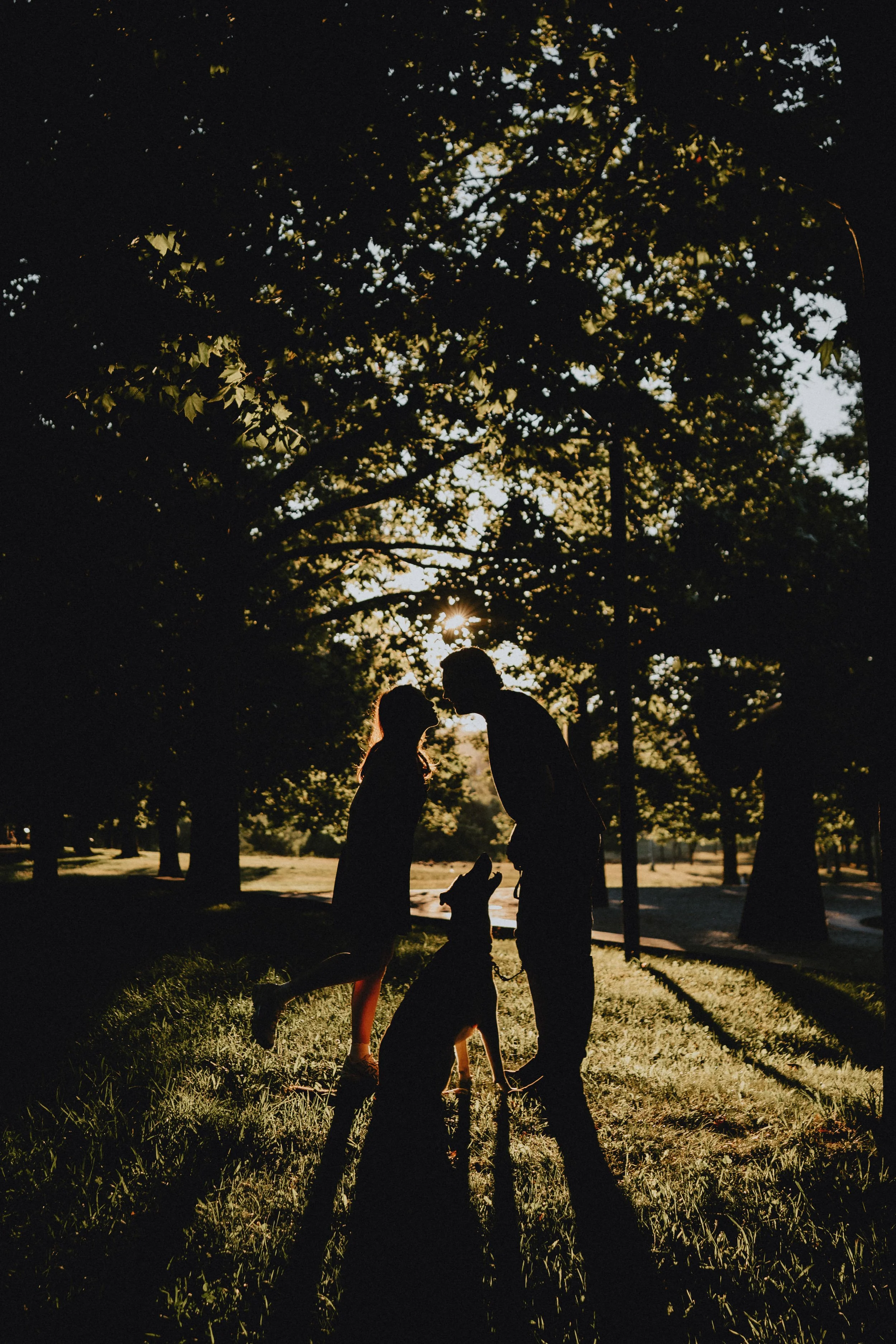 Engagement photography in Portugal, couple walking together at sunset beneath trees.