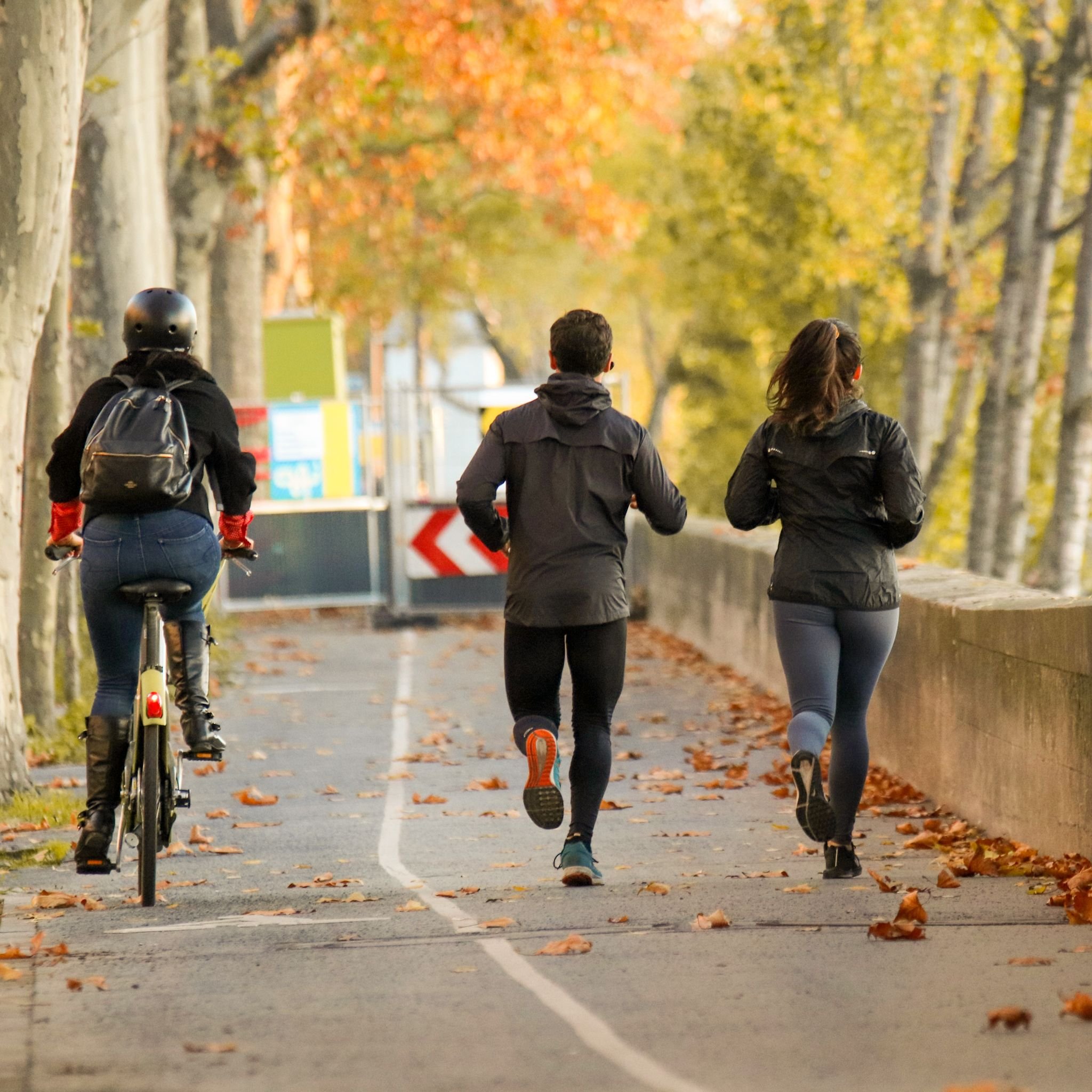 Three people walking and a cyclist on a tree-lined path in autumn with fallen leaves, seen from behind.