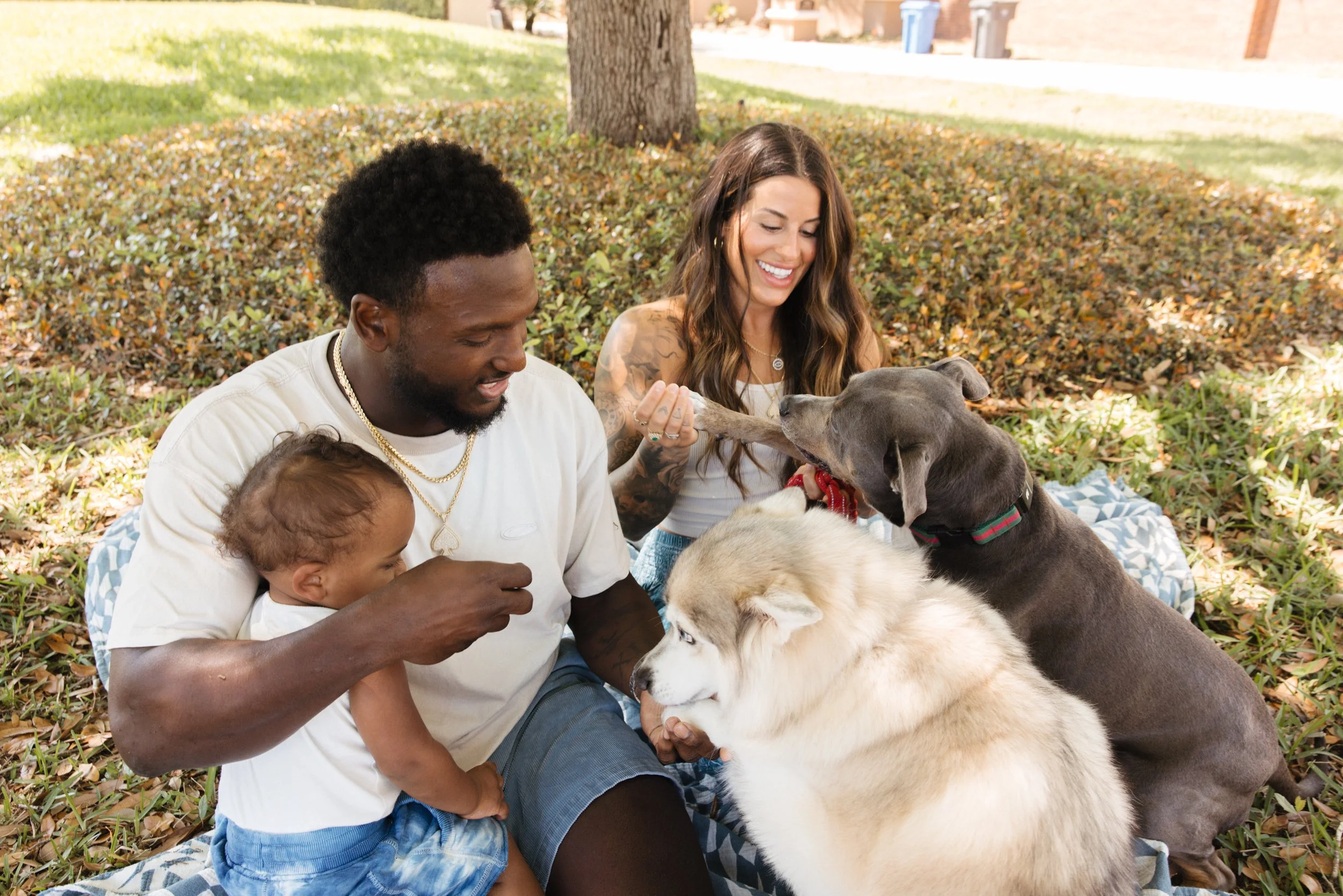 A family, including an adult male, a woman, a young child, and two dogs, sitting on a blanket under a tree in a park. The woman is smiling as one dog tugs at her finger, while the man holds the child and interacts with the dogs.