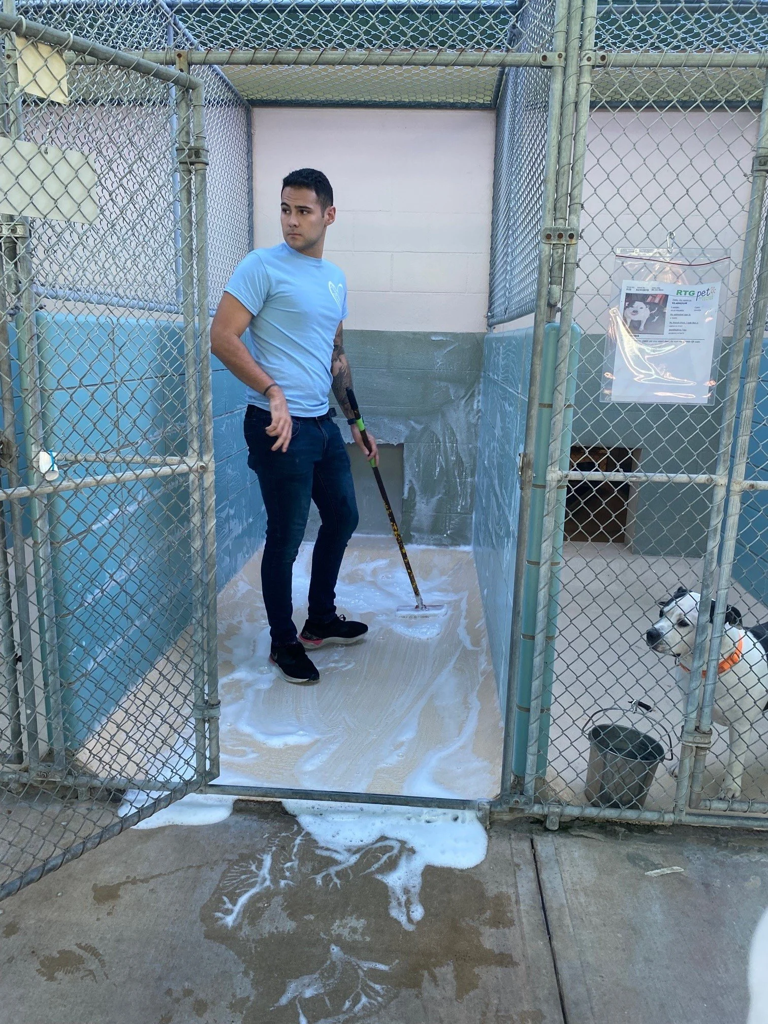 A man is cleaning the floor of a dog kennel with soap and a mop, with a dog in the adjacent kennel to the right.