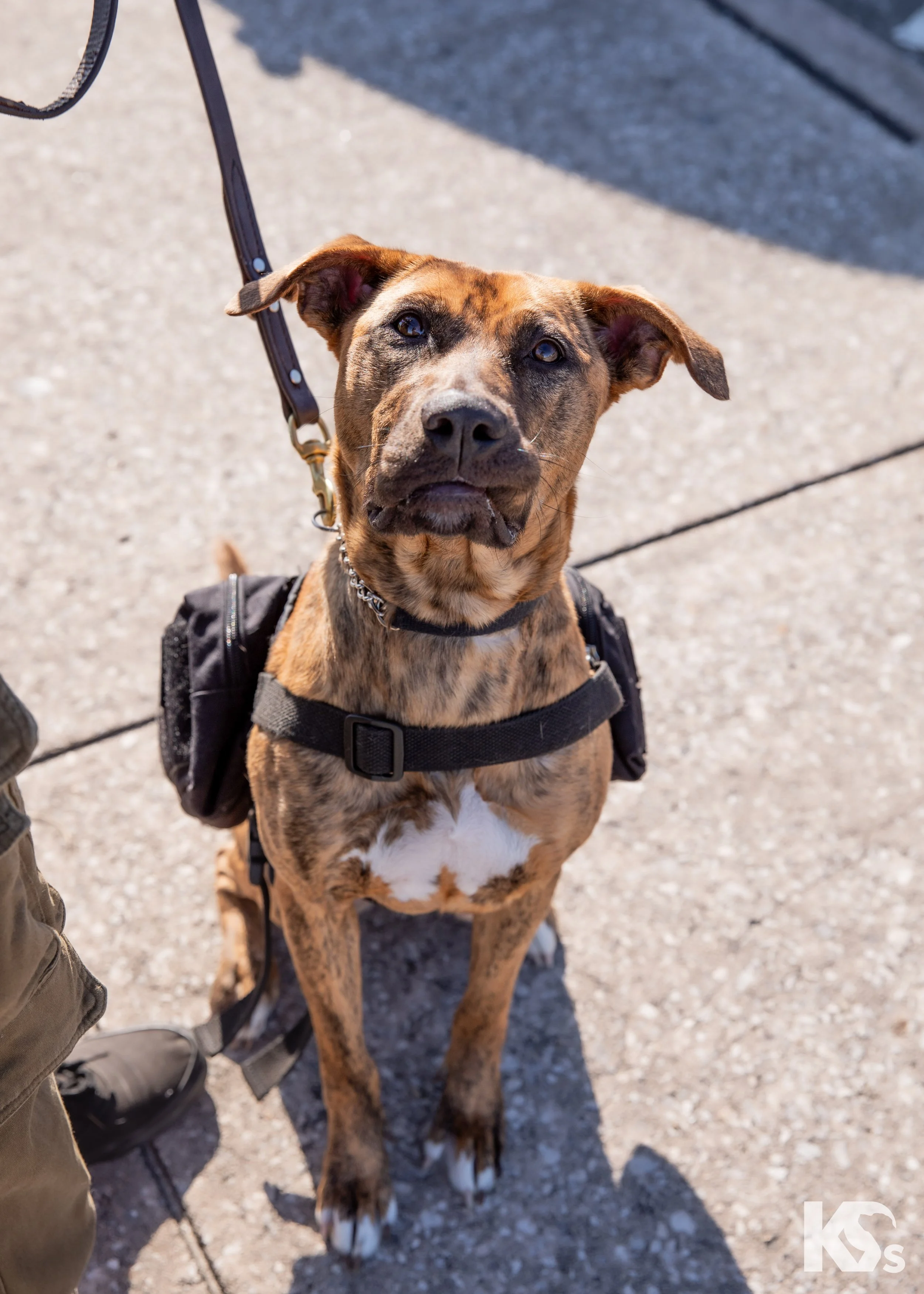 K9FW_240131_Zanna_5J9A9572.jpg