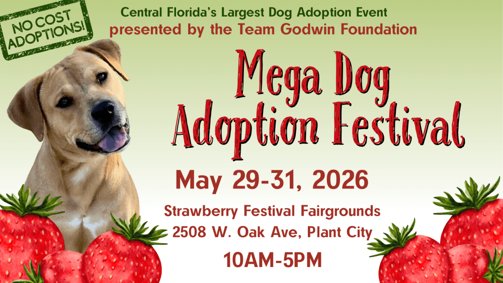 This Weekend: 300+ Dogs Are Looking for Their Forever Homes
