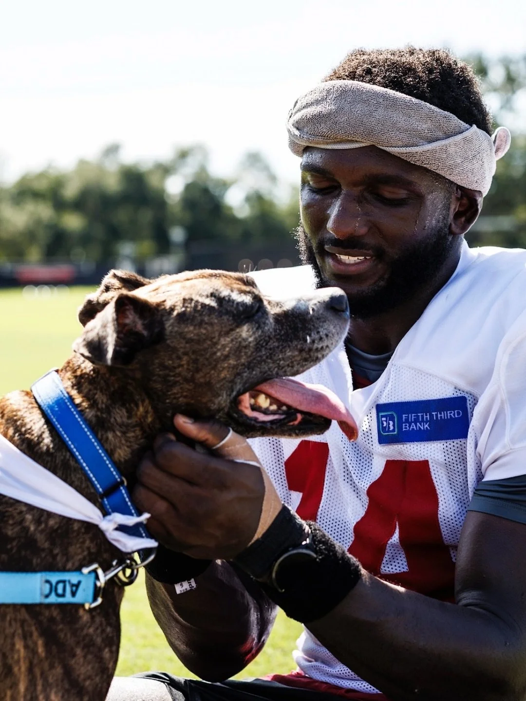 Happy National Dog Day! 🐾 These are just a few of the dogs Team Godwin Foundation has had the privilege of helping. 

We&rsquo;re grateful for our partners Hillsborough County Pet Resource Foundation and K9s for Warriors, who work every day to match