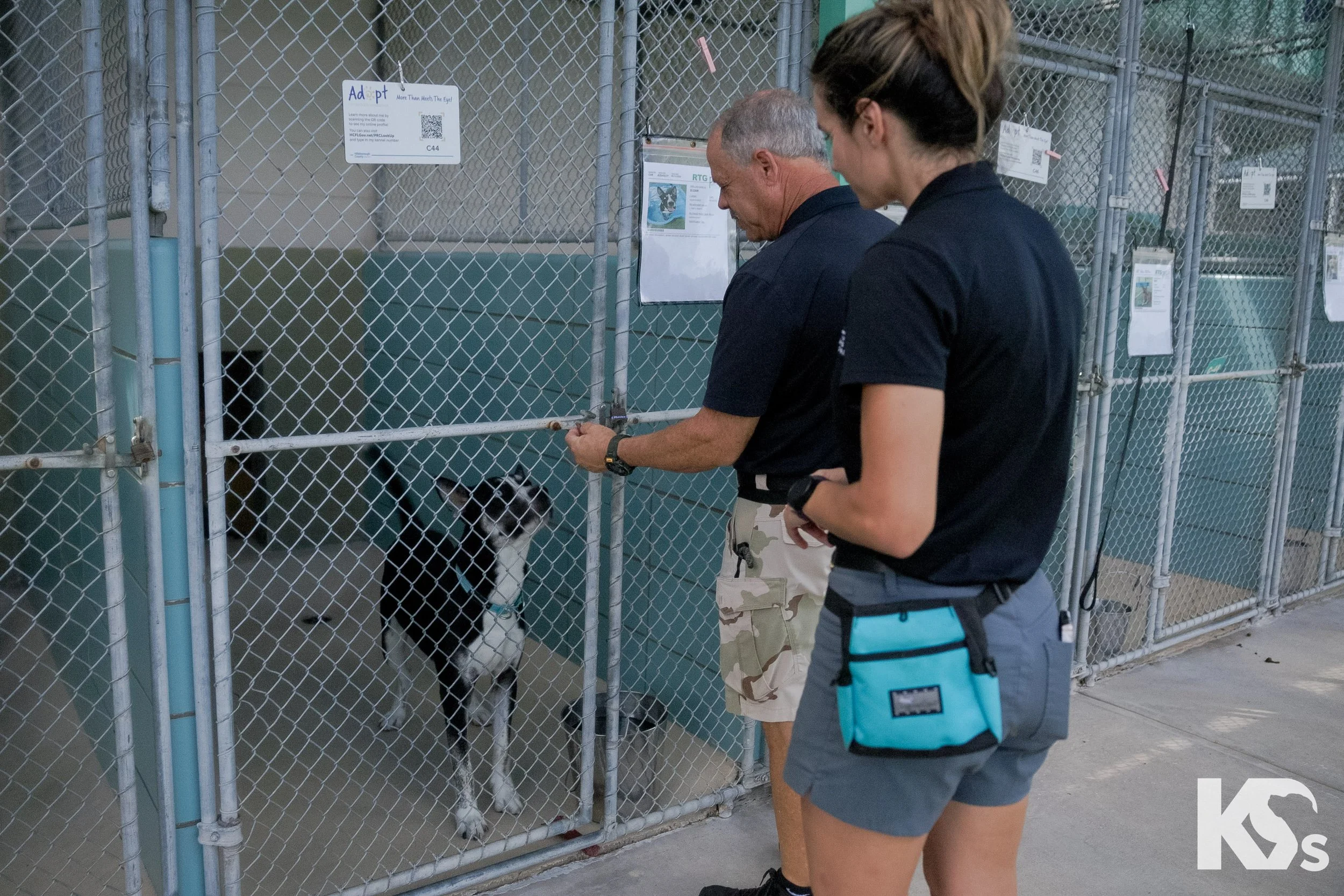K9FW_260922_TempTest_2.jpg