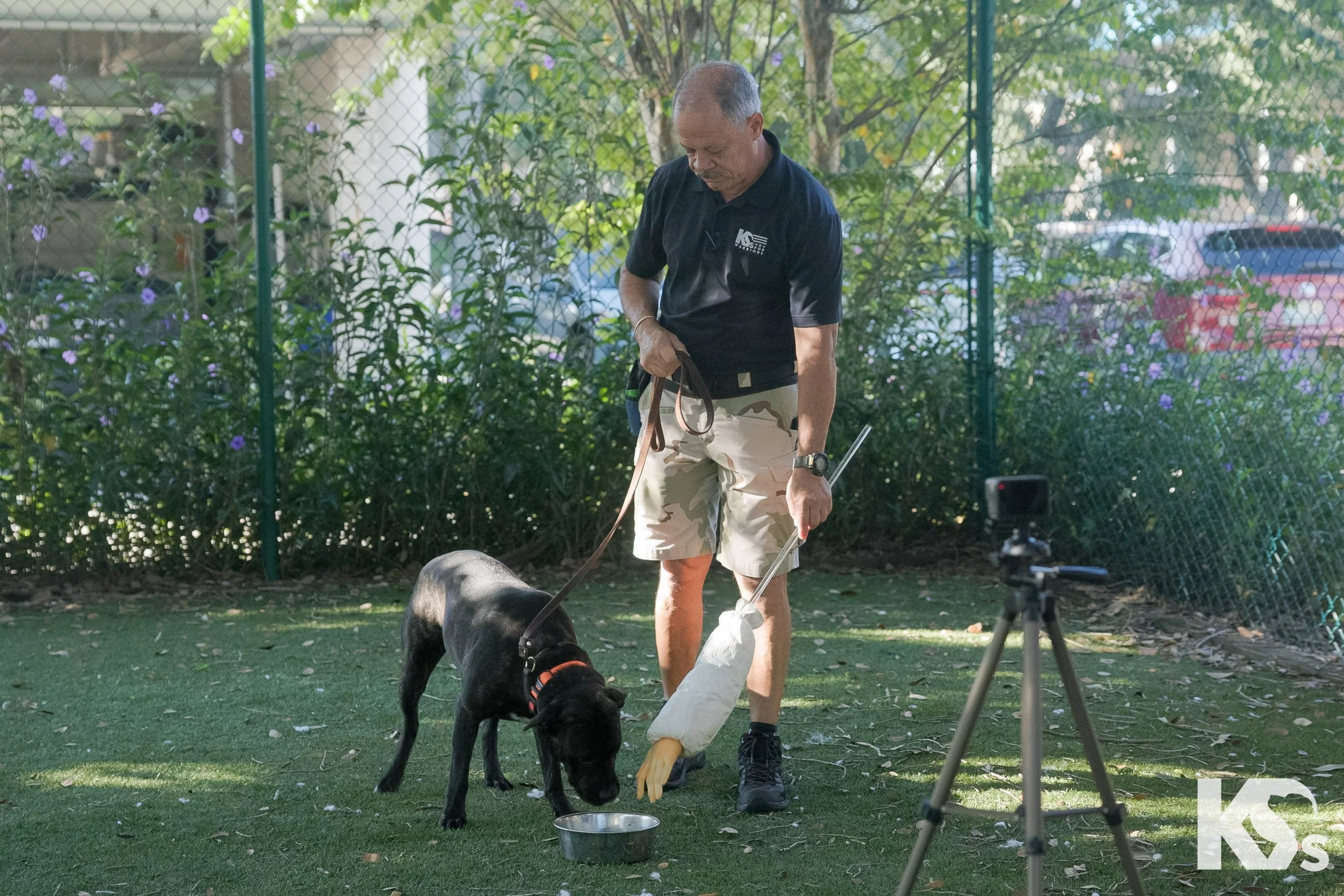 K9FW_260922_TempTest_03.jpg