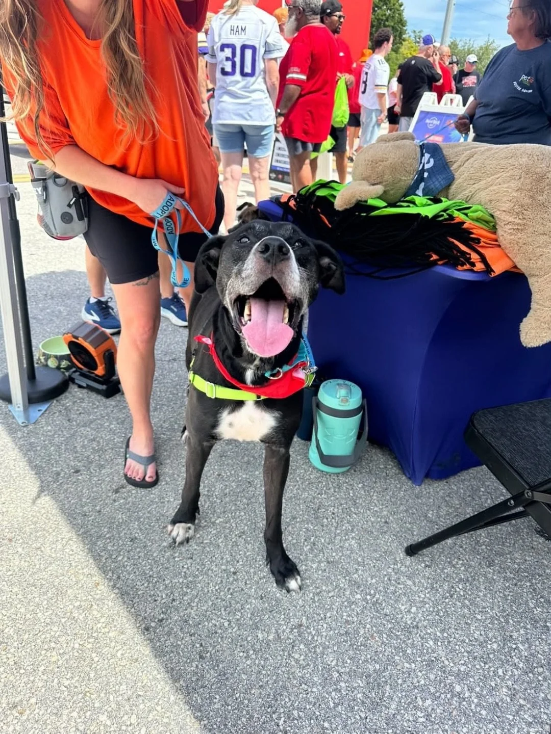 This is what a volunteer day can look like with Team Godwin Foundation! 🐾

Whether it&rsquo;s cheering on adoptable dogs at a home game or spending an afternoon at the Pet Resource Center, every moment you give helps a shelter dog feel loved as they