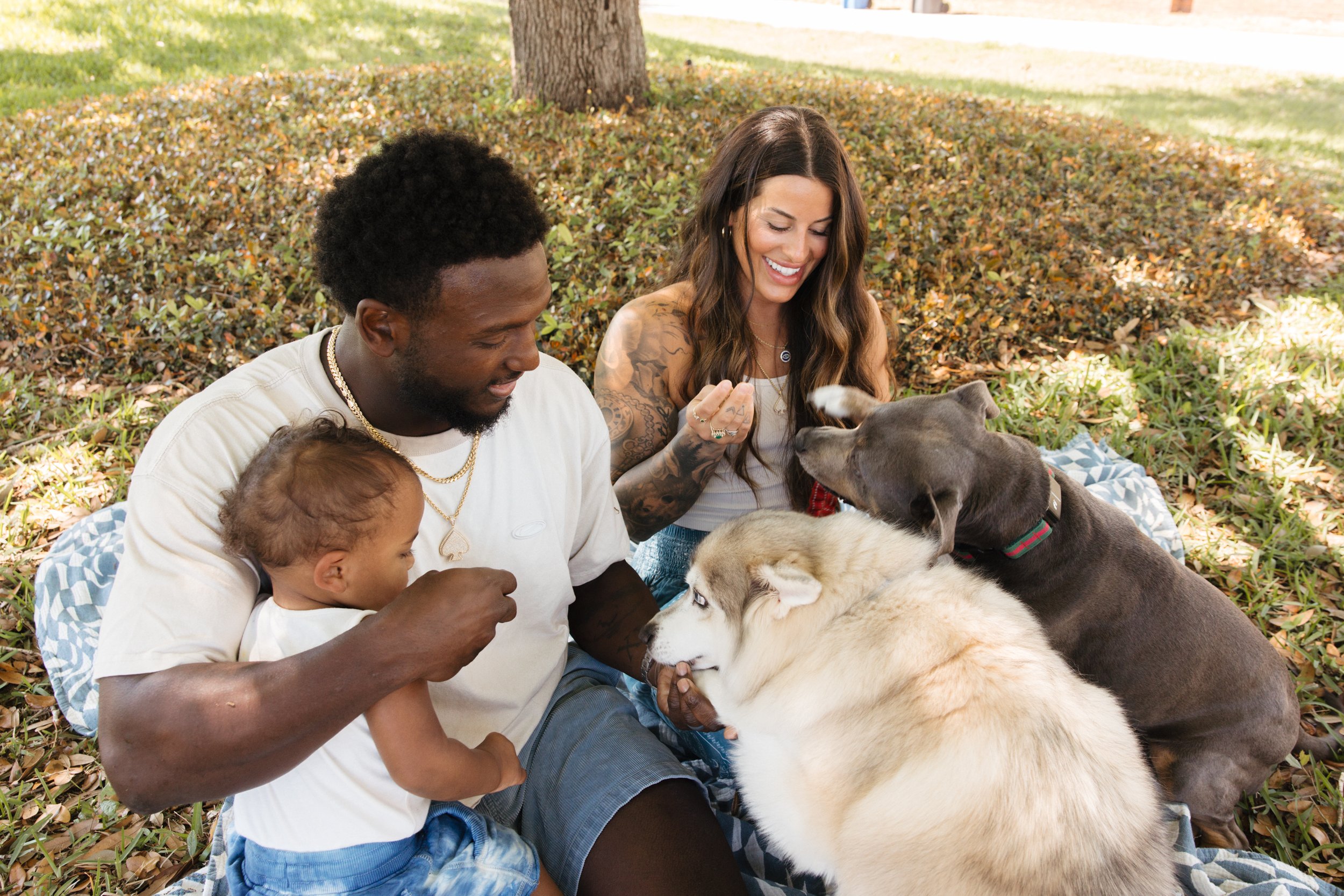 A family enjoying a picnic outdoors with two dogs and a baby.