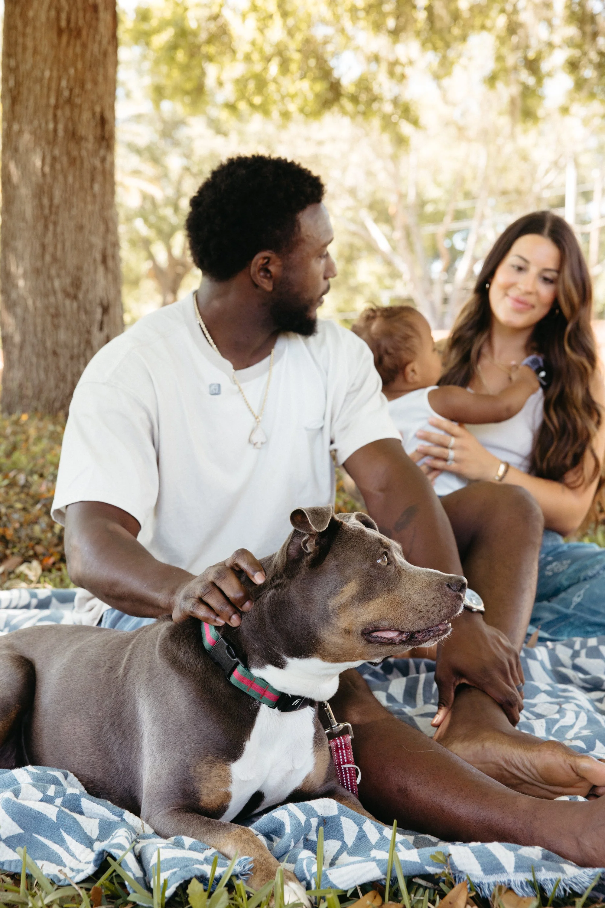 A family sitting on a blanket outdoors under trees, with a man petting a brown and white dog, a woman holding a baby, and a child touching her face.
