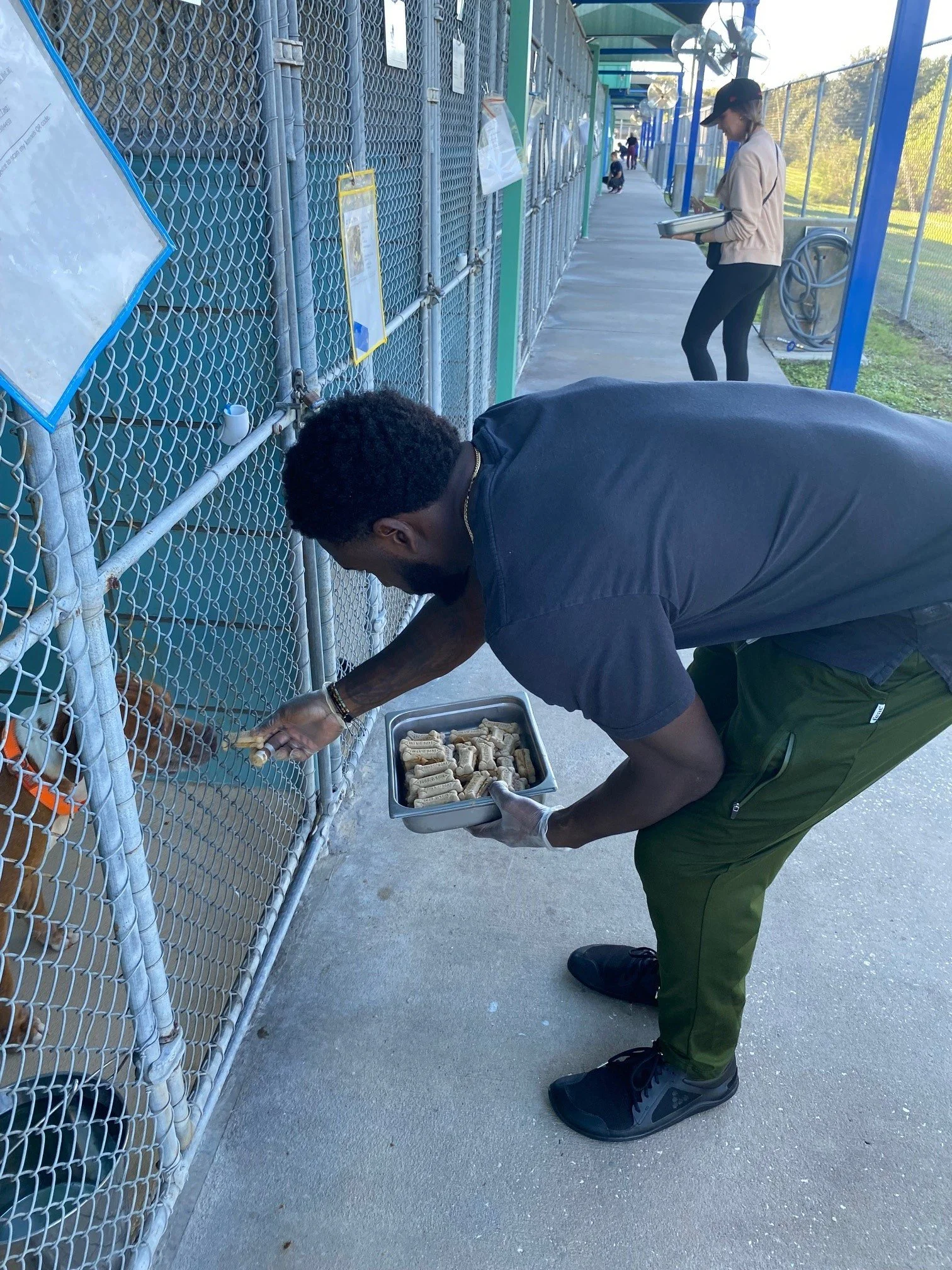 A man feeding chickens through a chain-link fence at a farm or petting zoo, holding a tray of treats. In the background, a woman reads a book or booklet while walking along a walkway.