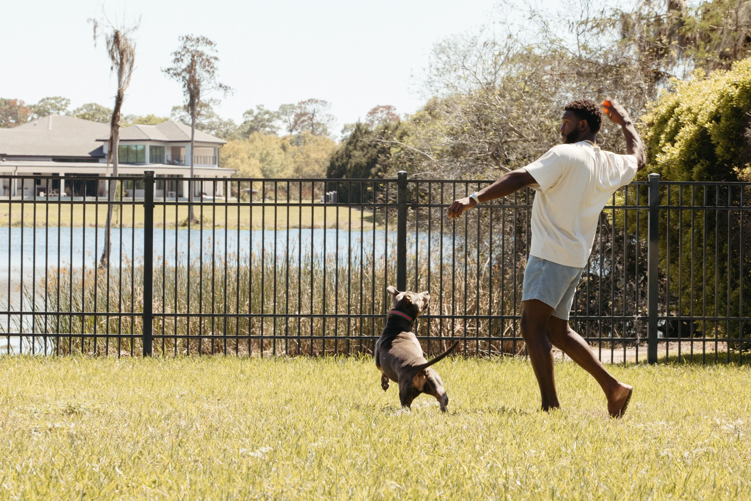 A man playing fetch with a dog in a grassy yard, enclosed by a black metal fence, with trees and a lake in the background.