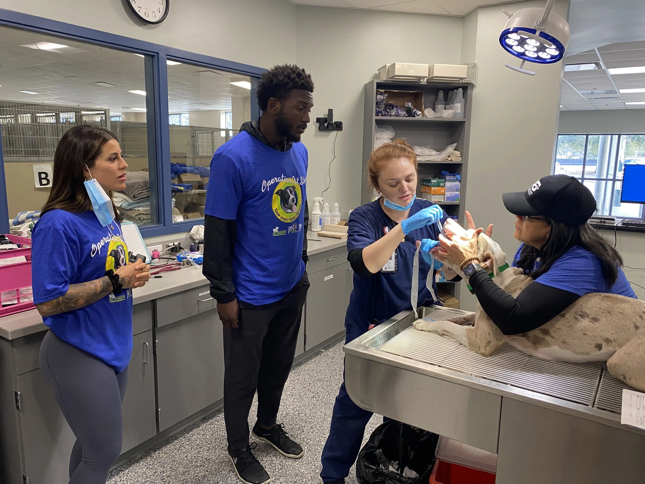 Veterinarians and veterinary technicians examine a dog during a veterinary procedure, with three people observing, one of whom has a face mask pulled down.