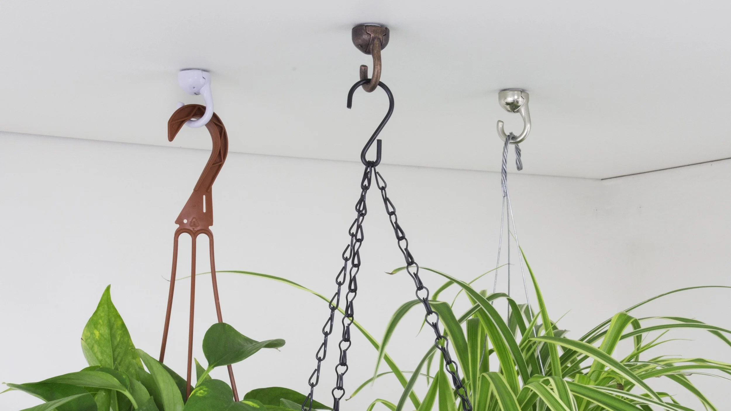 Elephant Hooks