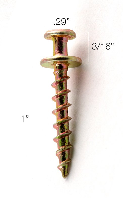 BCK Size.jpg