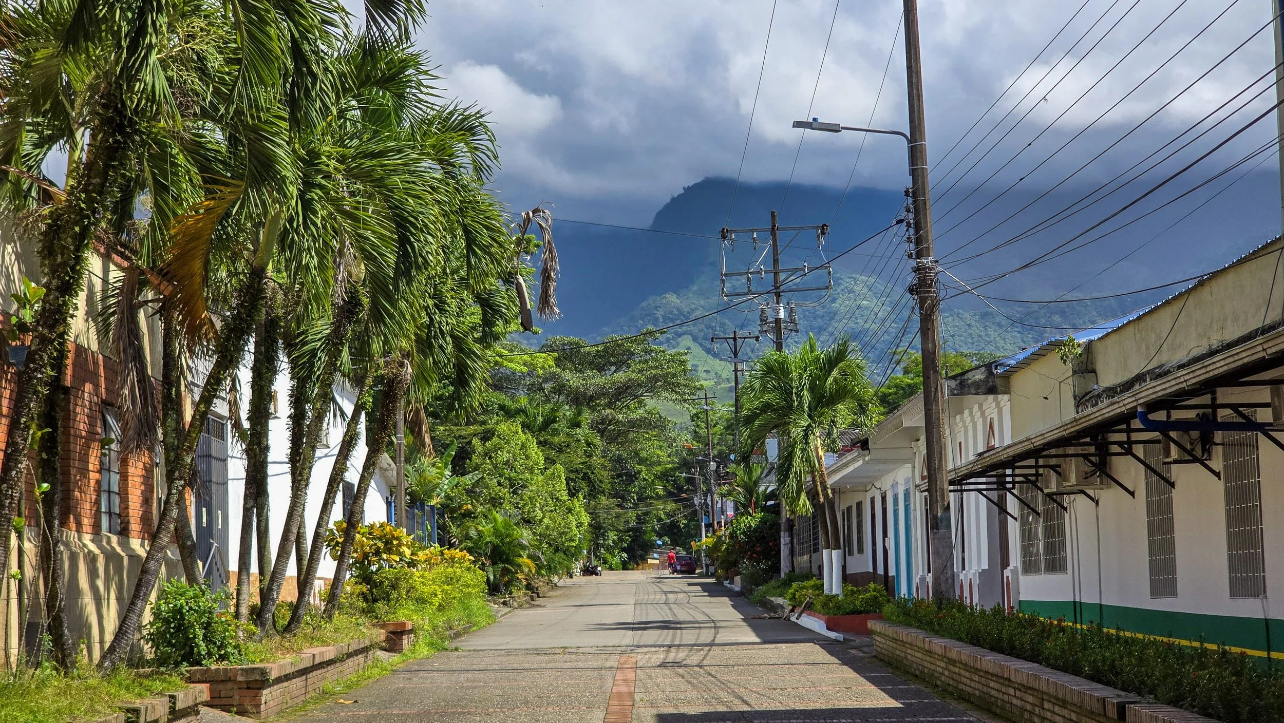 A quiet street with tropical trees and plants on the left, buildings on the right, utility poles and wires overhead, and mountains shrouded in clouds in the background.