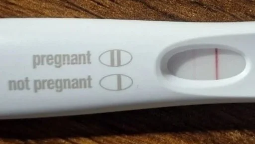 Five Losses, Two Miracles, and One Incredible Journey