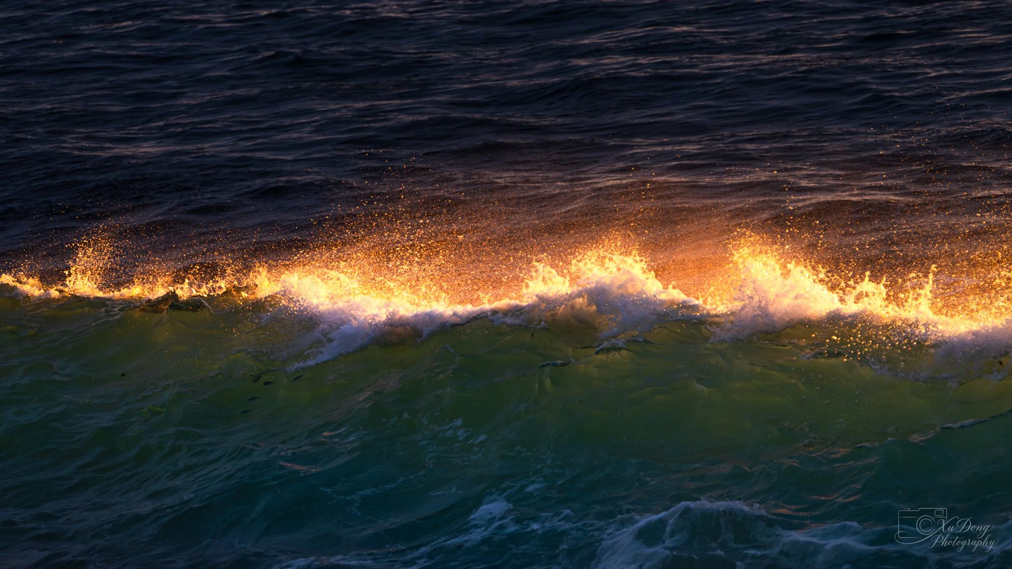 Macro nature photography capturing the intricate golden light and spray of a breaking ocean wave