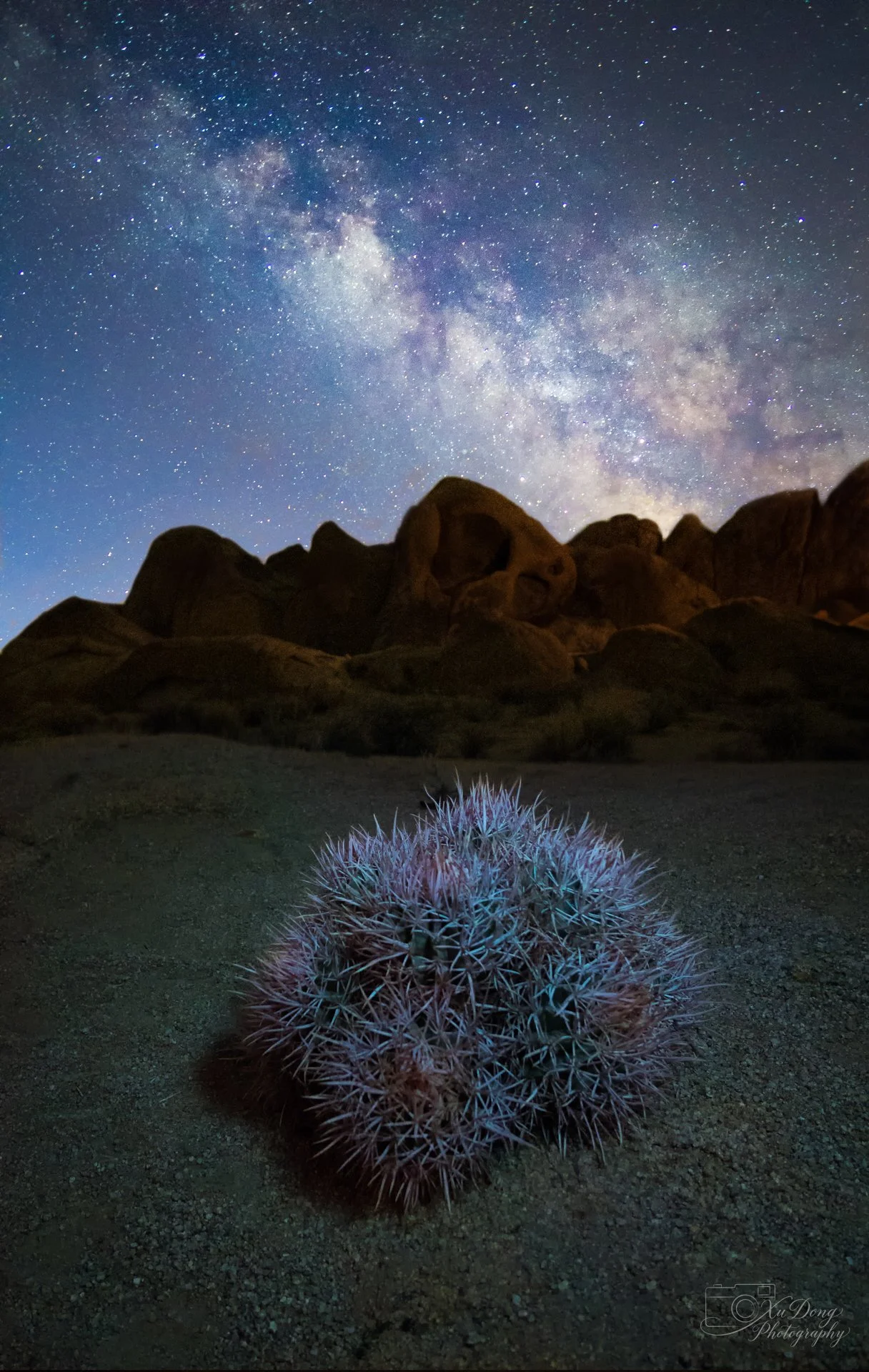 The stark beauty of the American Southwest desert, featuring a detailed barrel cactus in the foreground under the intense, sparkling expanse of the galactic core.