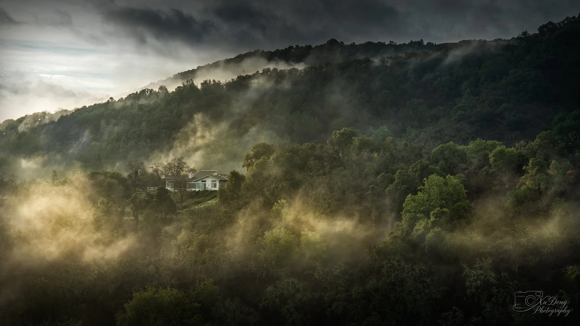 A peaceful, foggy morning scene in the rolling landscape of Los Altos Hills
