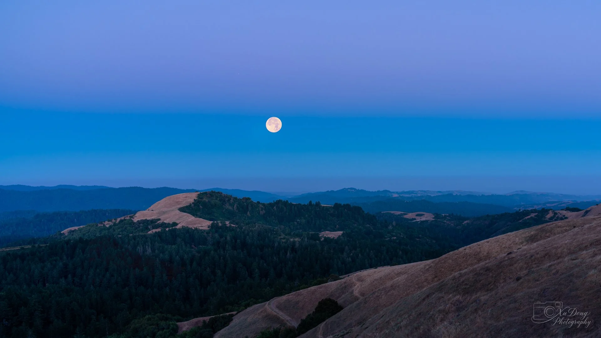 A crisp, full moon setting over the landscape of Russian Ridge