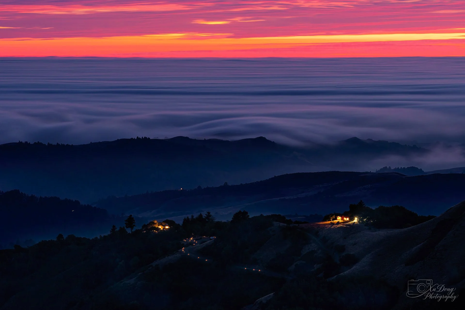 Golden sunlight filtering through the dense forest canopy on a La Honda trail