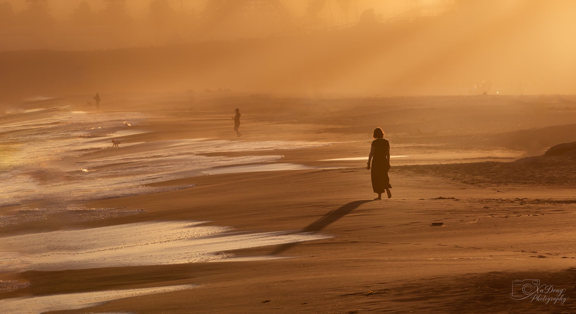 Sunset beach silhouette at Santa Cruz Beach