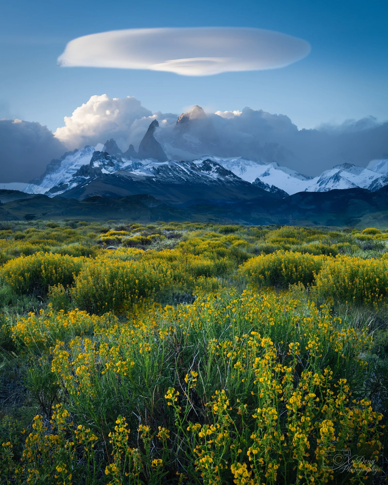 Lush mountain meadow with yellow wildflowers and a massive peak of Fitz Roy in the background under soft light