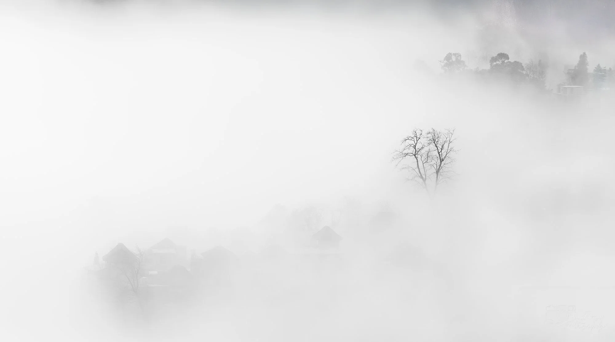 An ethereal masterpiece: morning mist clinging to a hidden Yunnan mountain village, with a single tree emerging through the fog