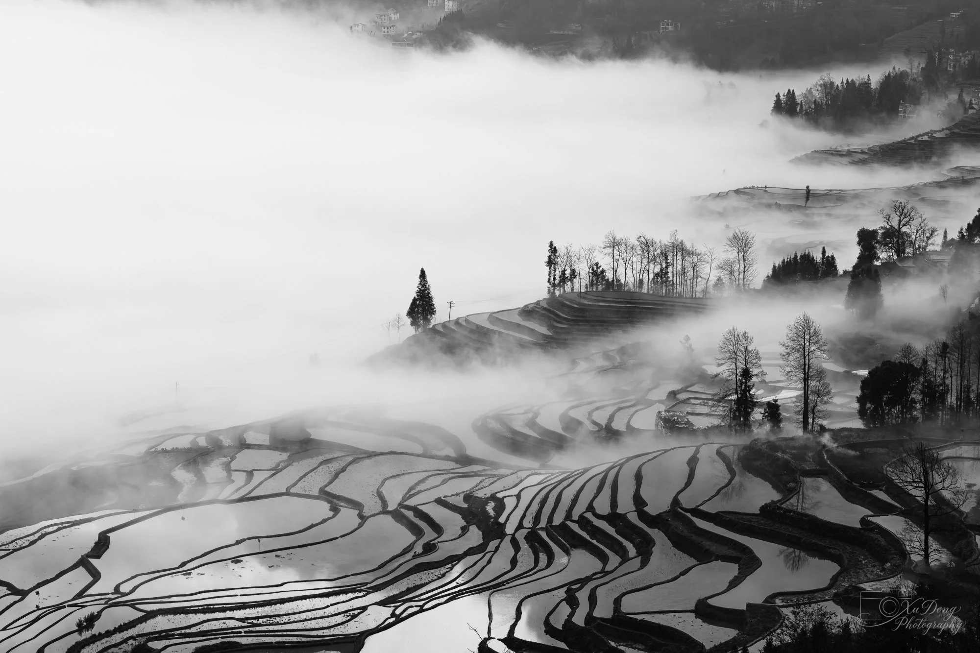 An intimate, textured study of Yunnan's terraced rice fields, capturing the intricate patterns carved into the mountainside
