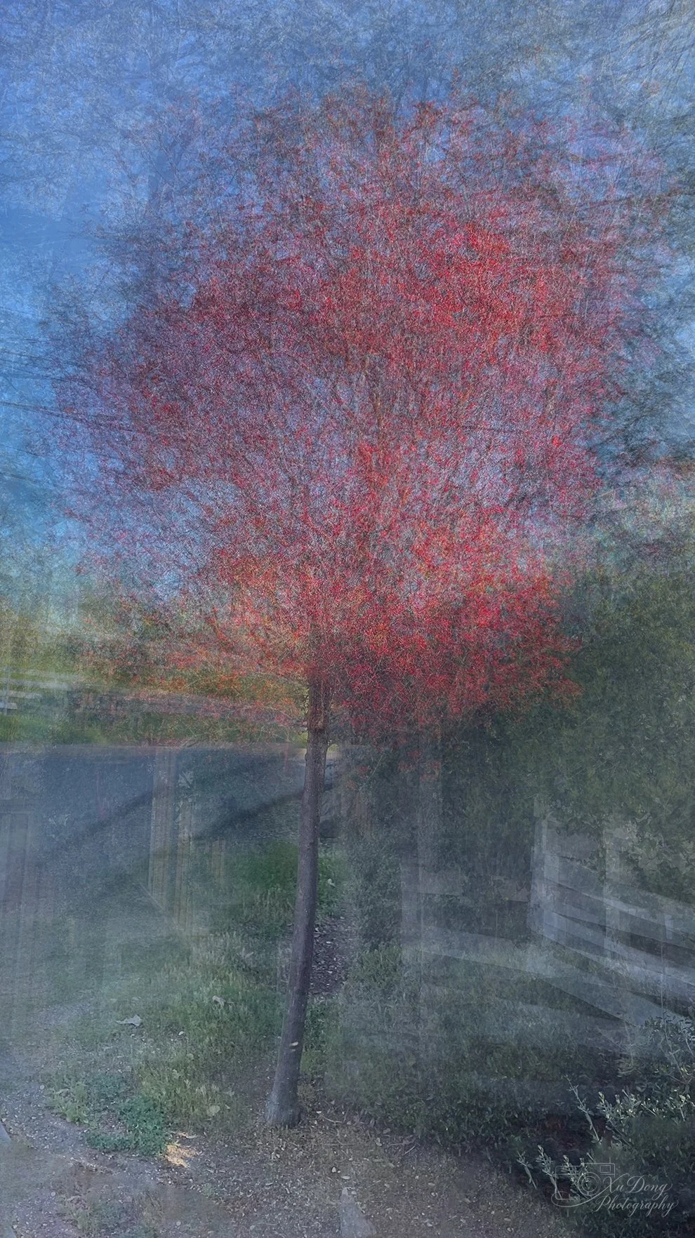 Atmospheric landscape photography capturing the quiet interaction between light and natural landscapes.