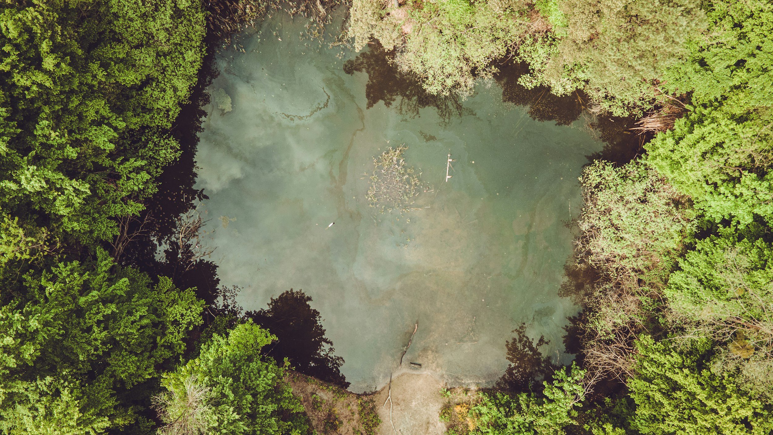 Aerial stock photo of a river surrounded by tress