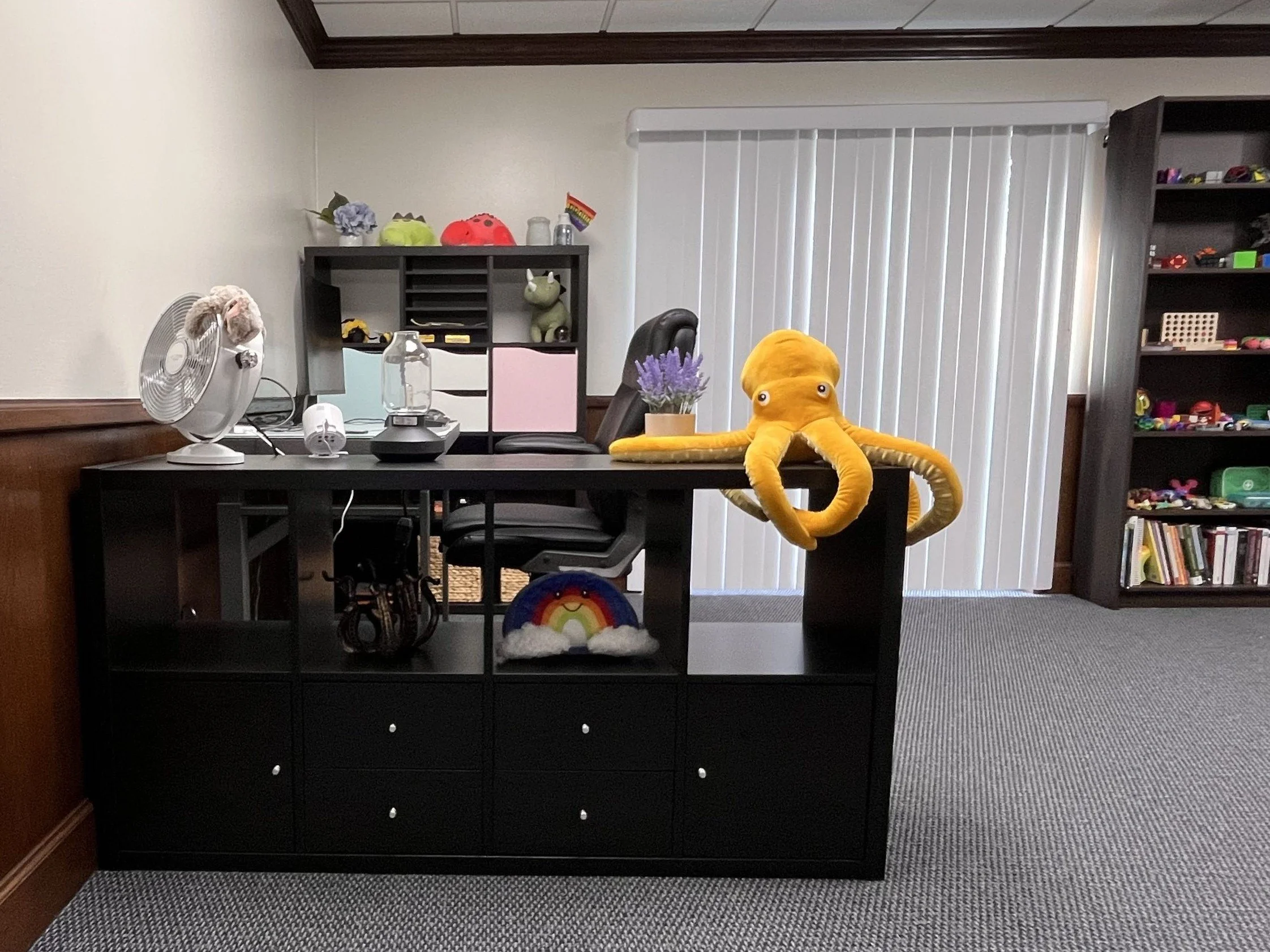 A photo of the Kaleidoscope Therapy Services office, with stuffed animals, knick knacks, and Pride imagery