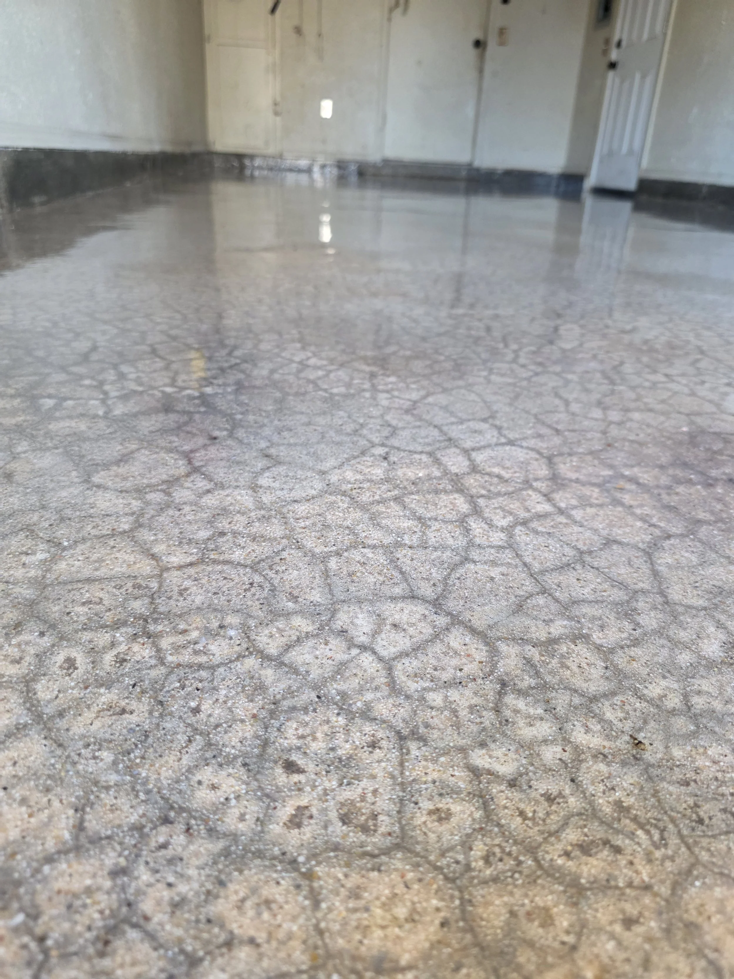 Close-up of the cured moisture vapor barrier. A clean, uniform surface — the foundation everything else is built on.