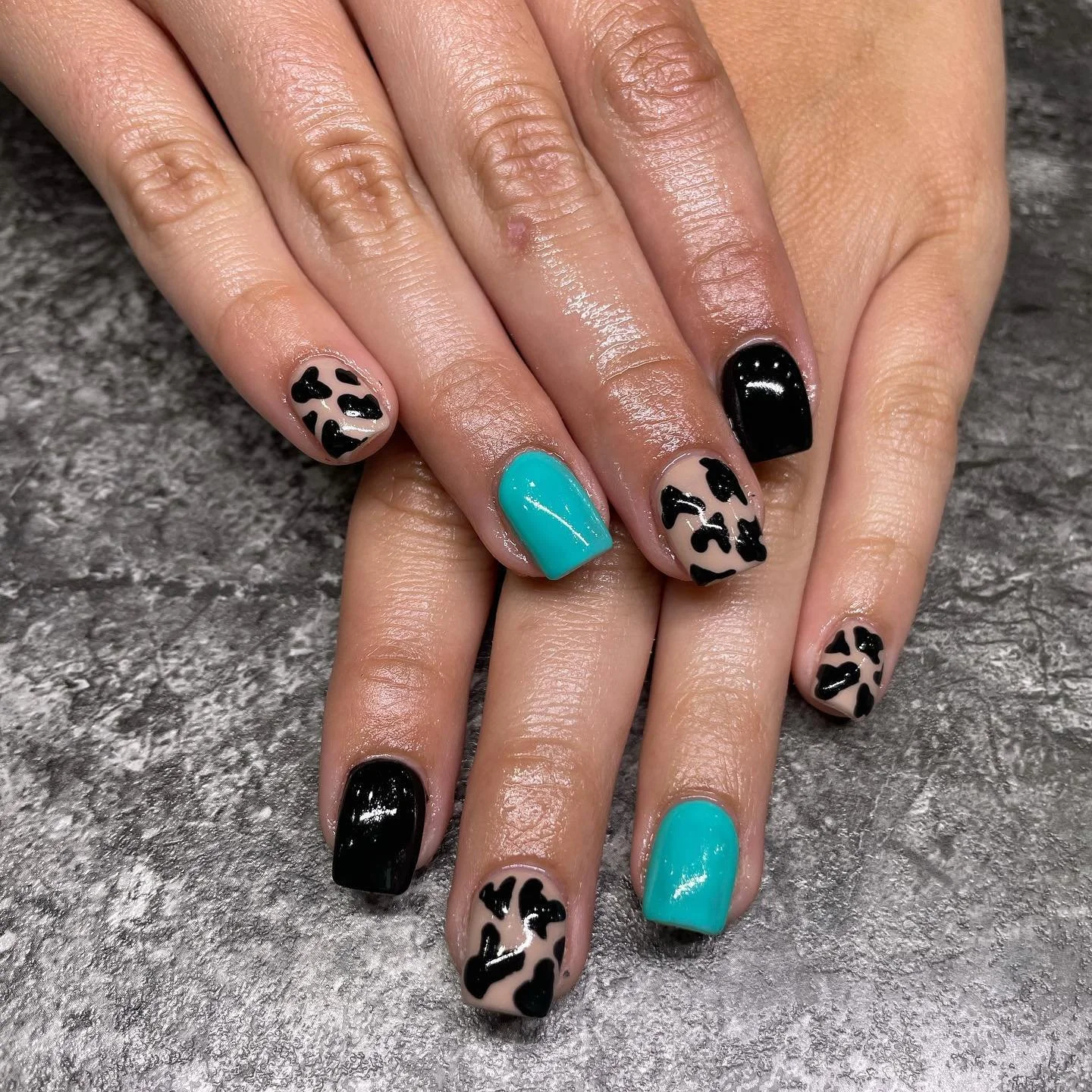 Manicured nails with a combination of black, beige, and turquoise nail polish, featuring leopard print patterns and solid colors, on a textured gray surface.