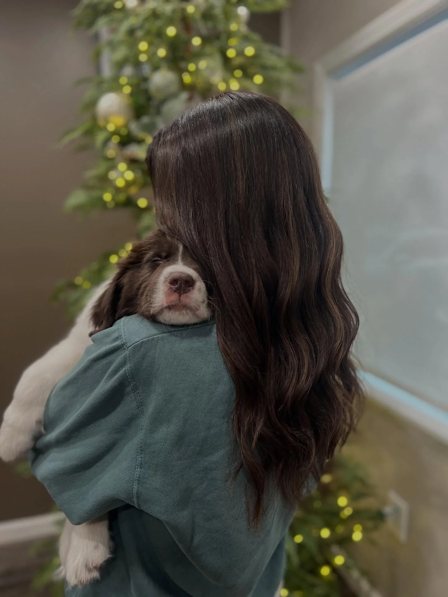 A person with long wavy dark hair holding a sleepy brown and white puppy, with a decorated Christmas tree in the background.