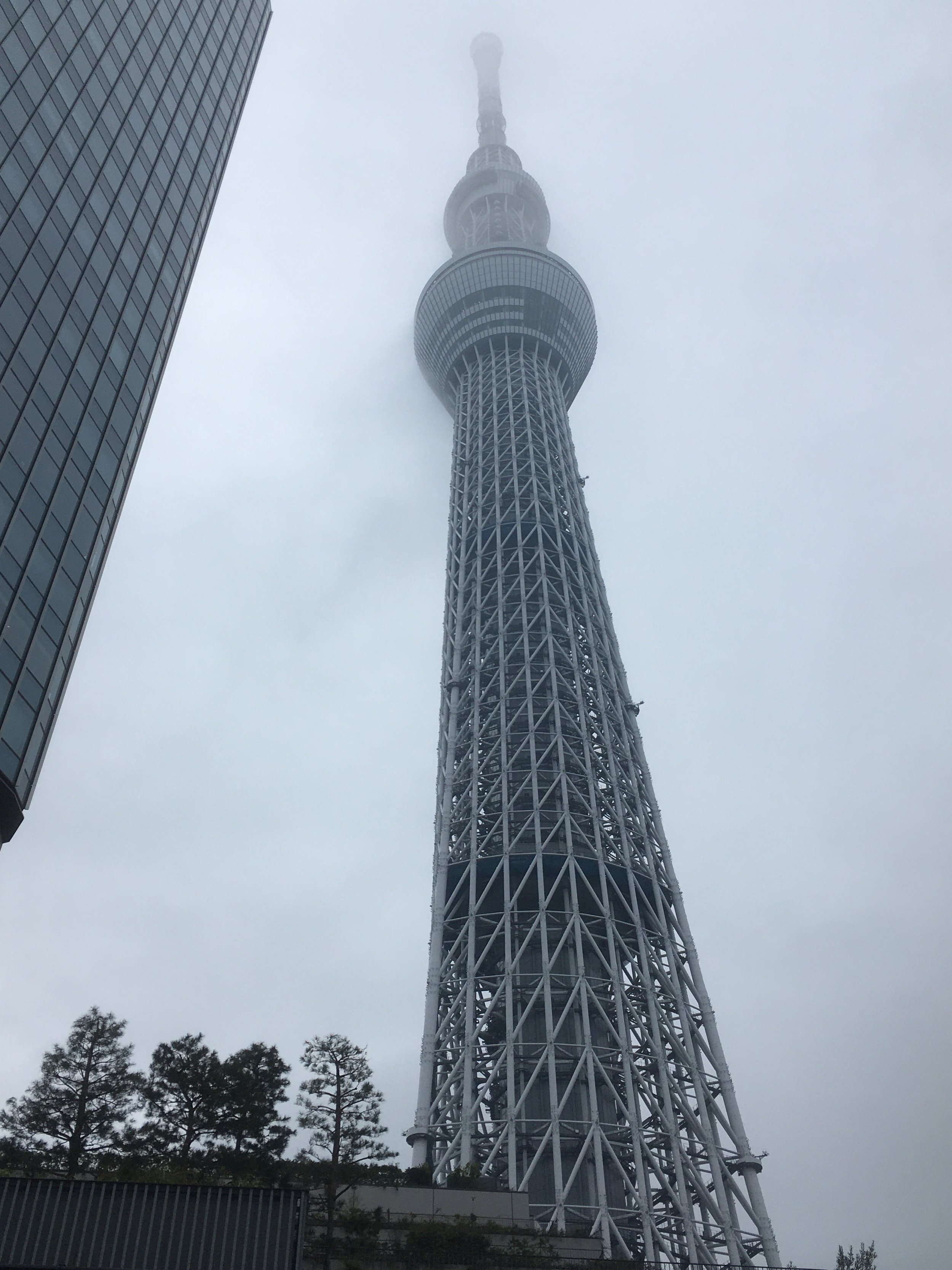 Tokyo Skytree towering into cloudy sky, partially obscured by fog, with trees and a building at its base.