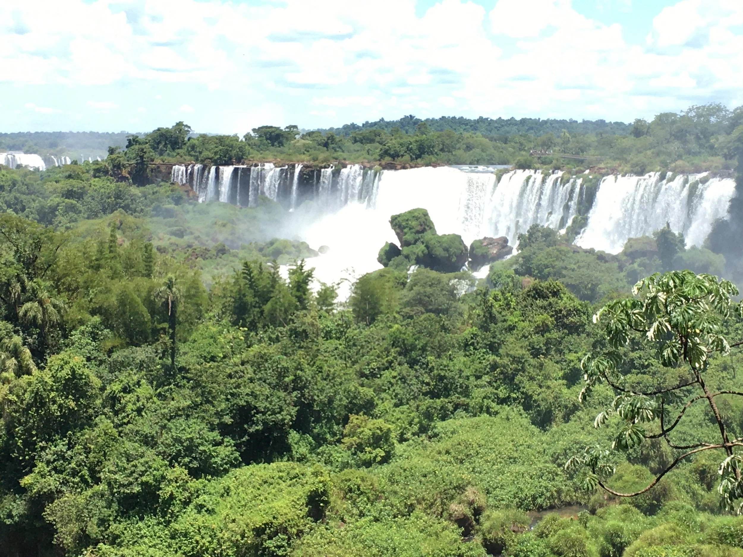 Niagara Falls with lush green forest in the foreground and waterfalls in the background under a partly cloudy sky.