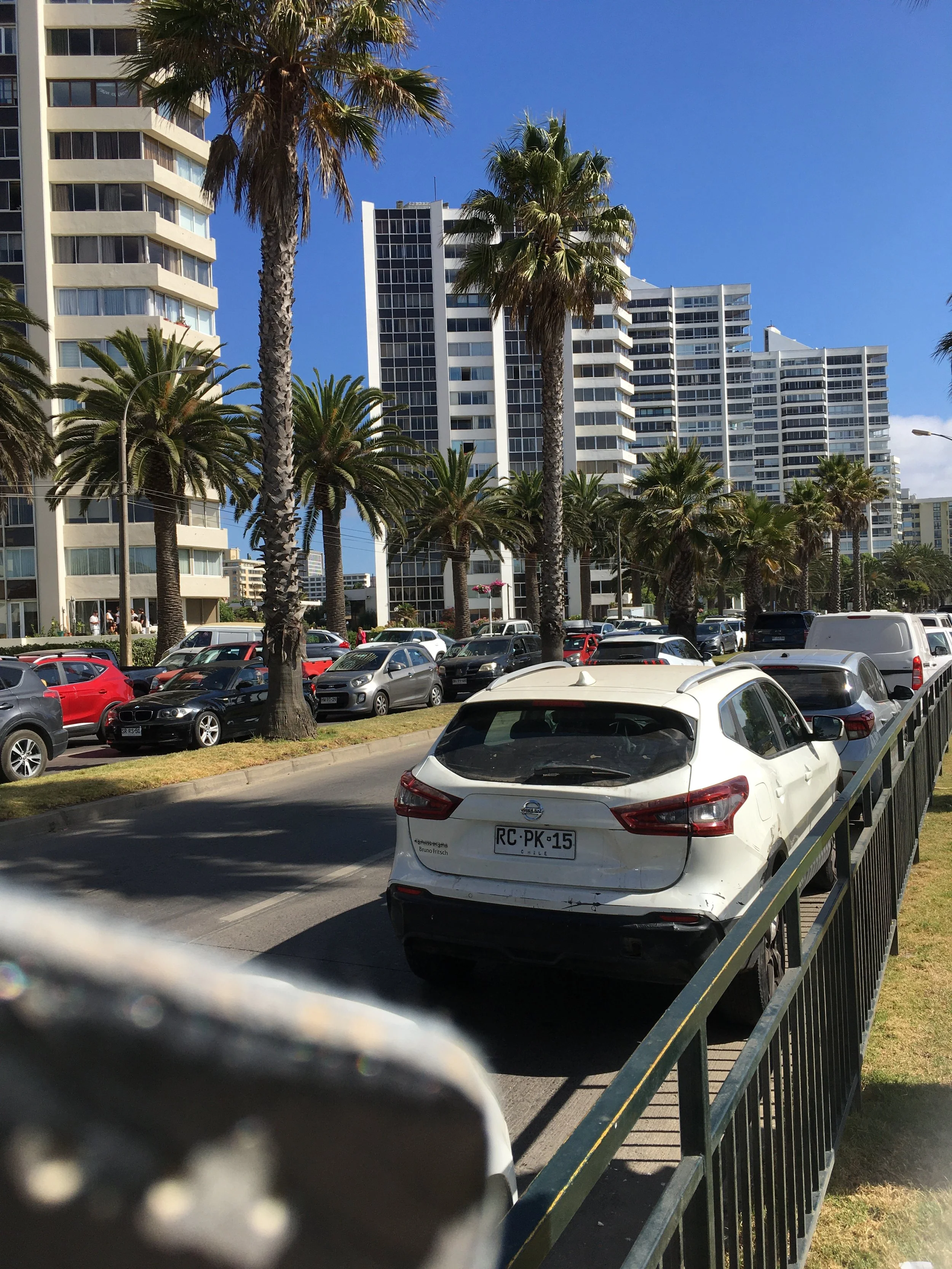 A city street with many parked cars and tall palm trees, high-rise buildings in the background, blue sky, and sun illuminating the scene.