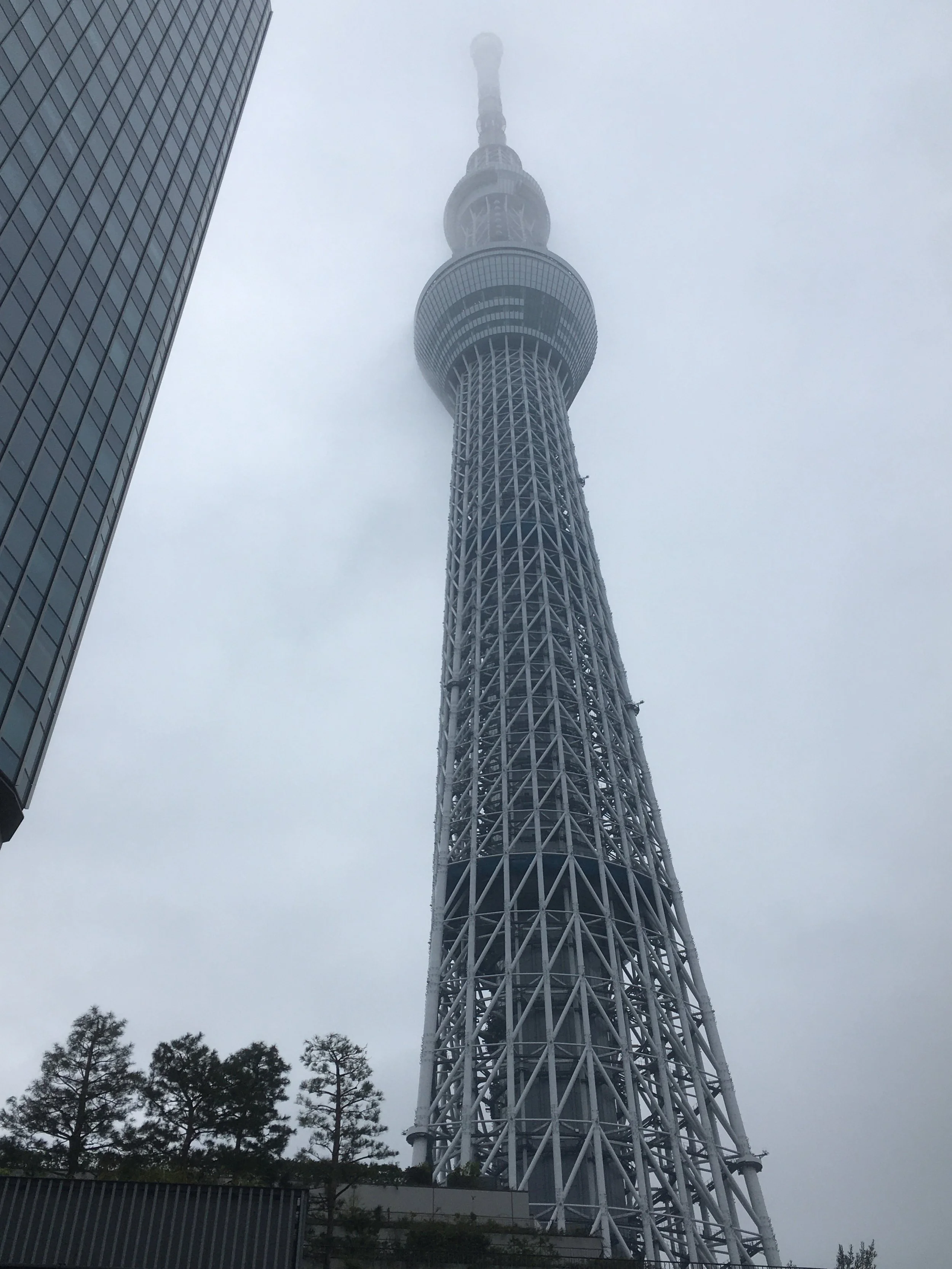 View of Tokyo Skytree from below, obscured by fog, with a modern building on the left and trees at the bottom.