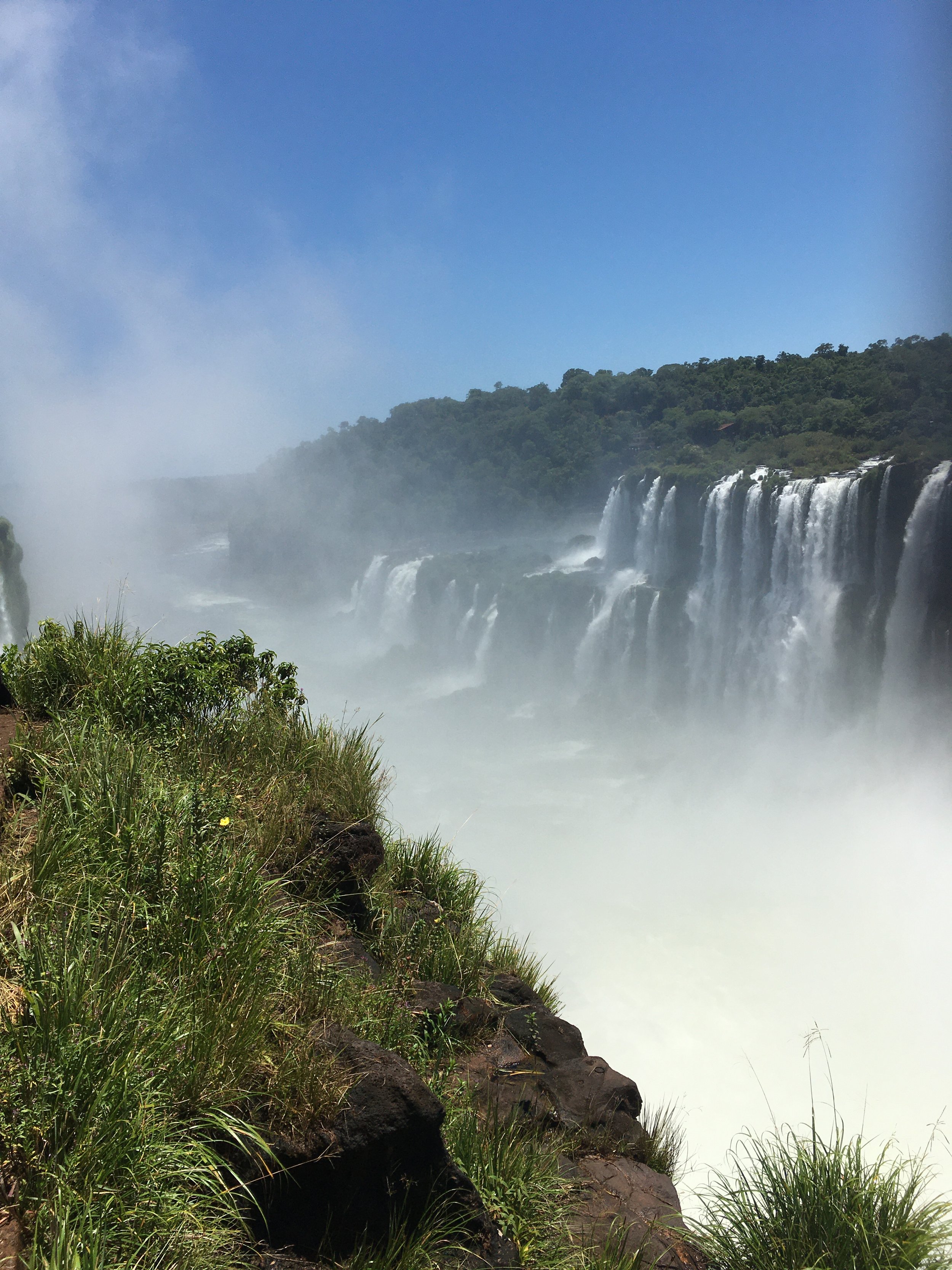 Niagara Falls showcasing cascading waterfalls, mist rising from the water, and lush greenery on the foreground with a blue sky overhead.