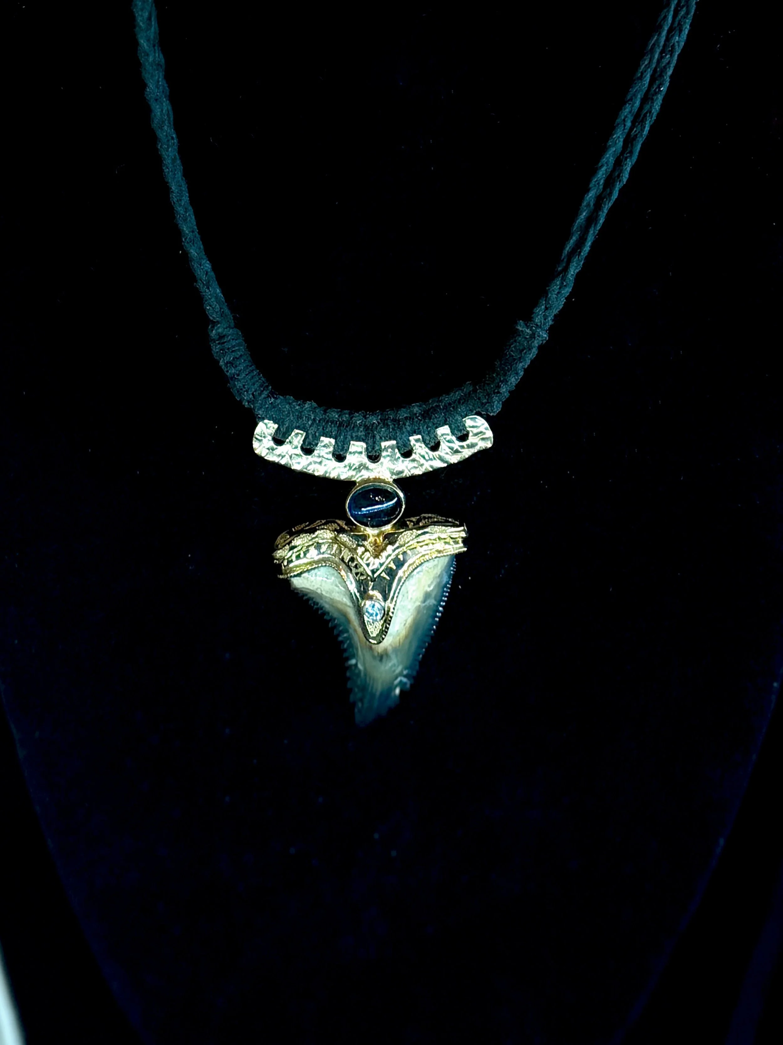 custom hand engraved shark tooth st Augustine 