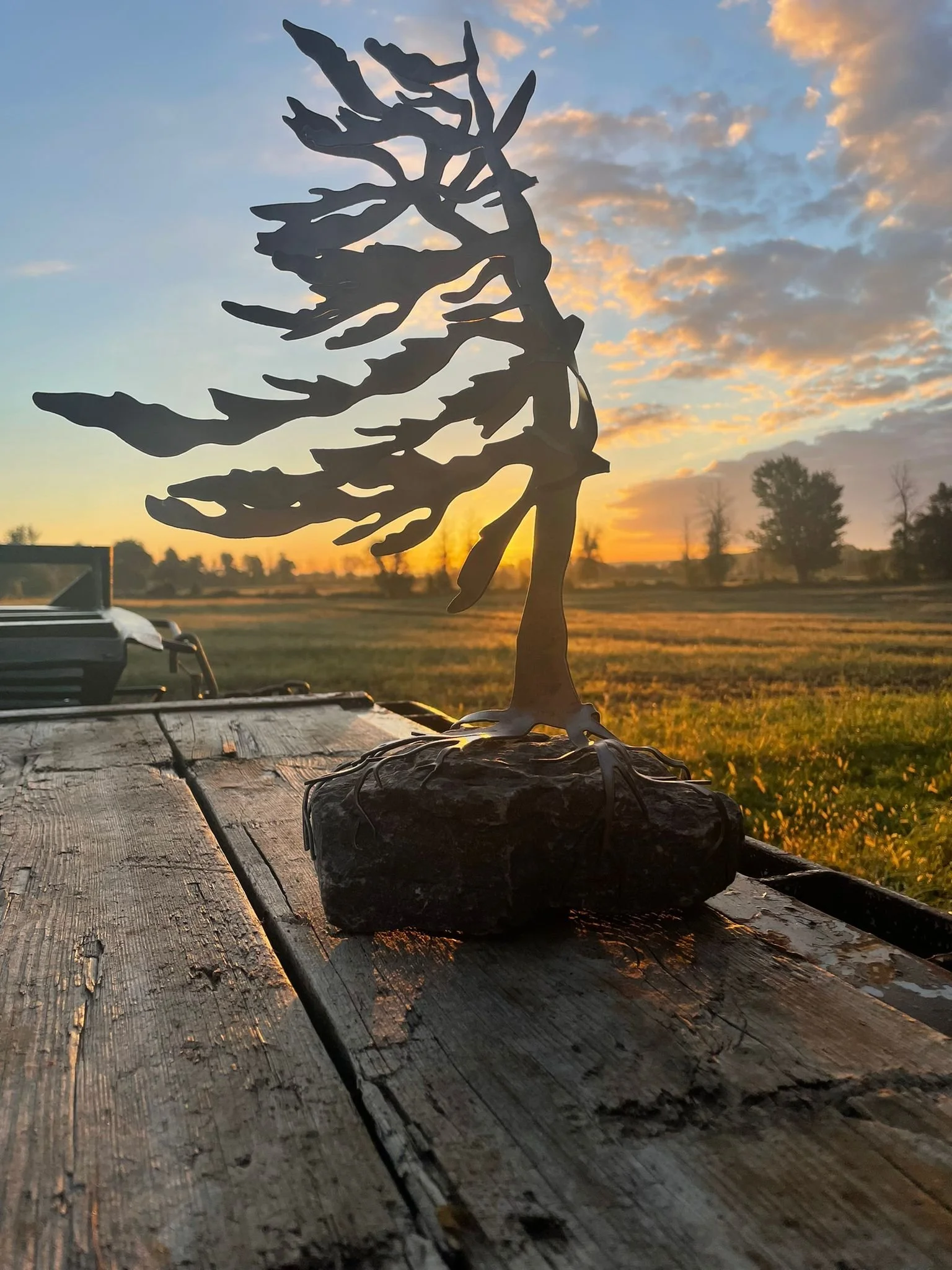 WhatsApp Image 2026-02-12 at 8.31.28 PM.jpeg