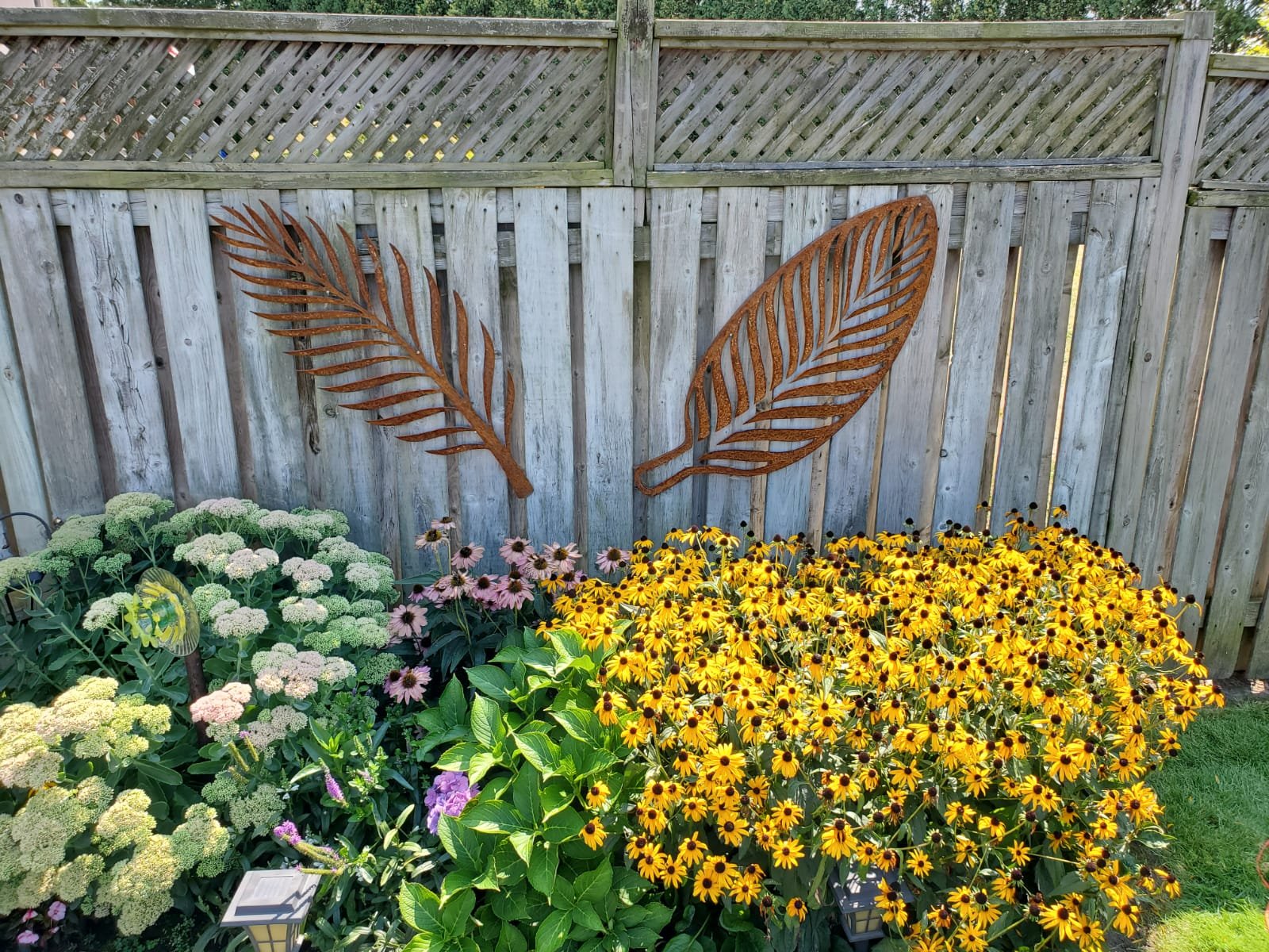 WhatsApp Image 2026-02-12 at 8.36.18 PM.jpeg