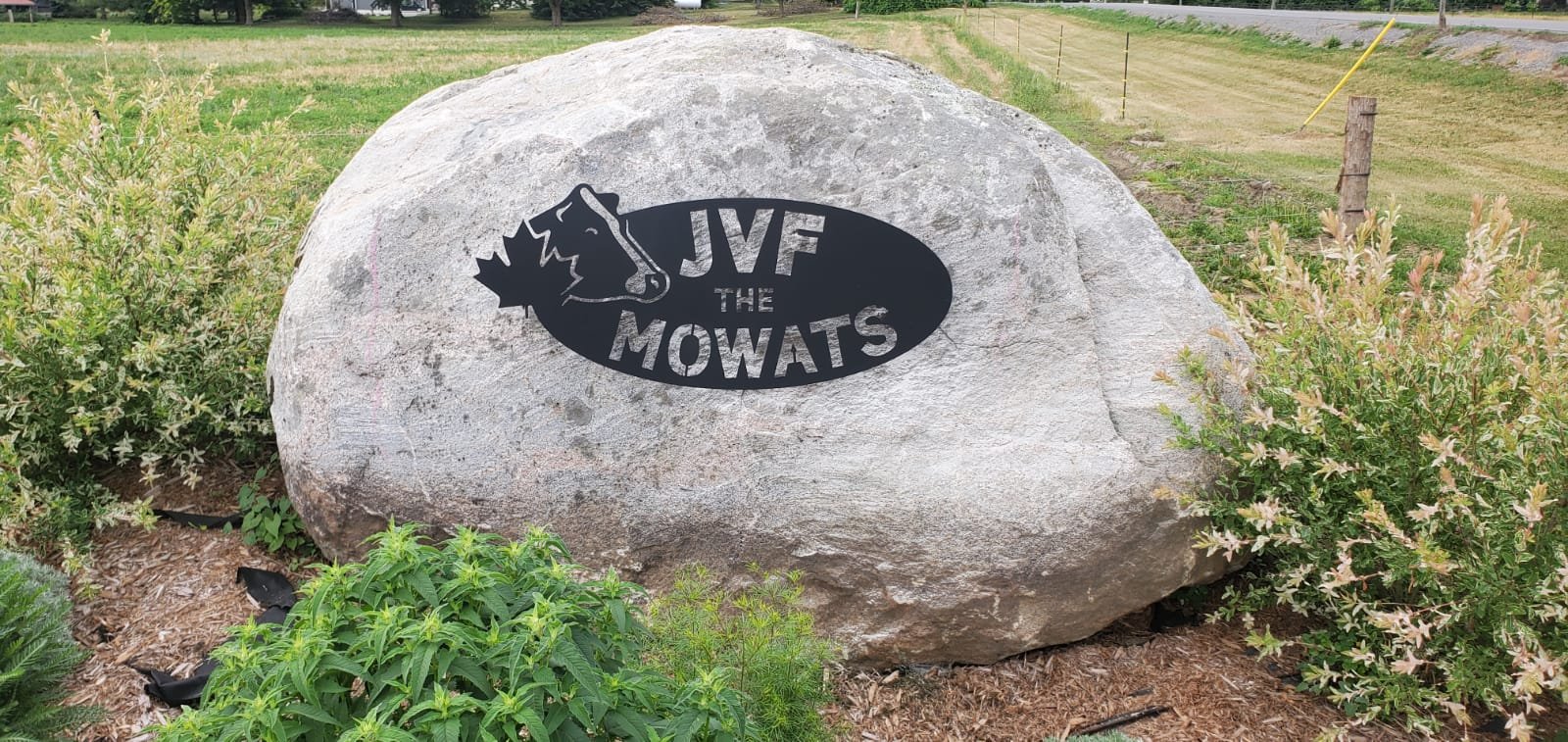 WhatsApp Image 2026-02-12 at 8.33.00 PM.jpeg