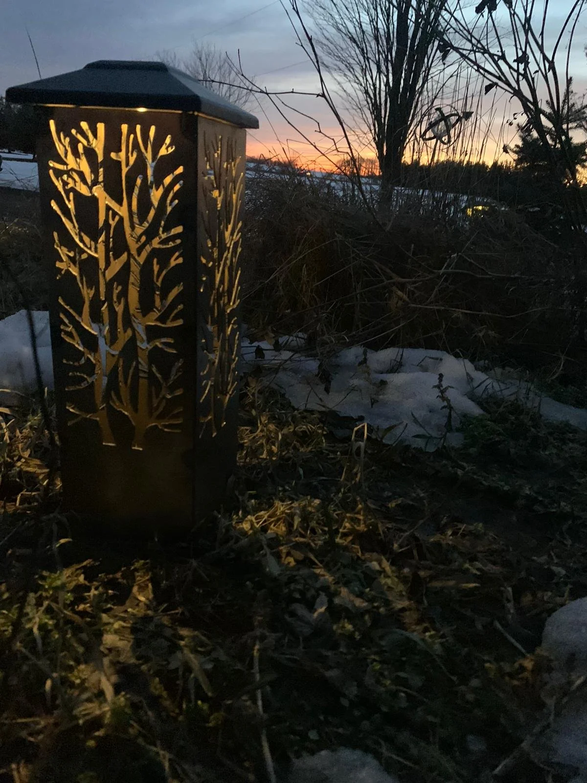 WhatsApp Image 2026-02-12 at 8.28.11 PM (2).jpeg