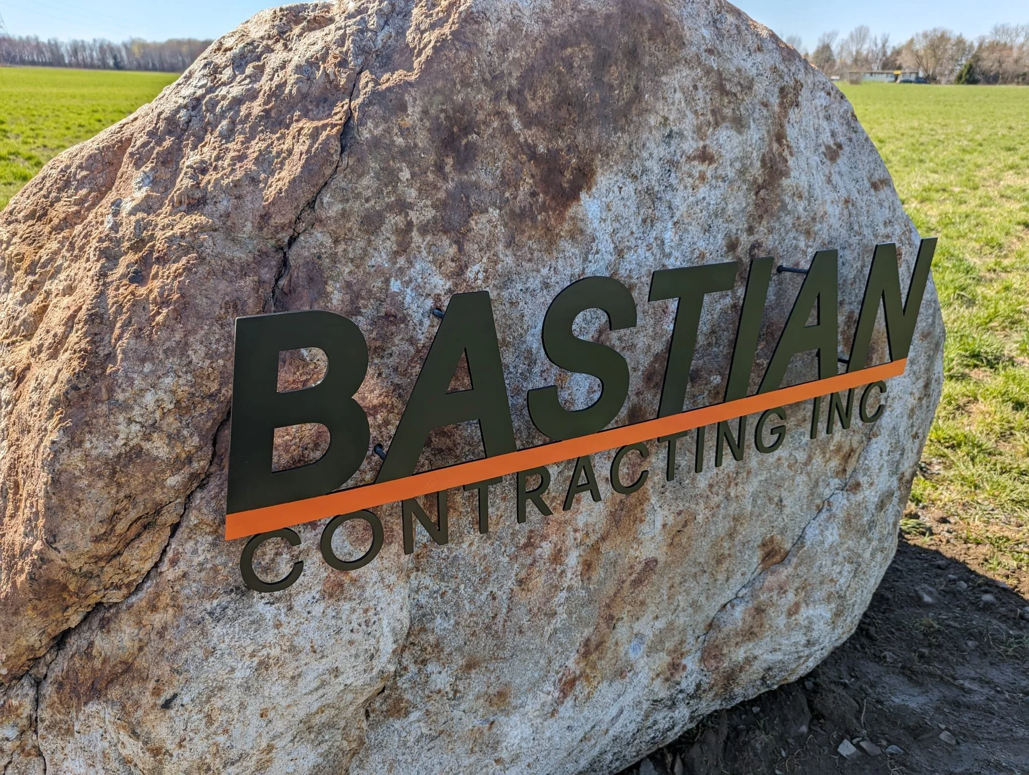 WhatsApp Image 2026-02-12 at 8.37.28 PM (3).jpeg